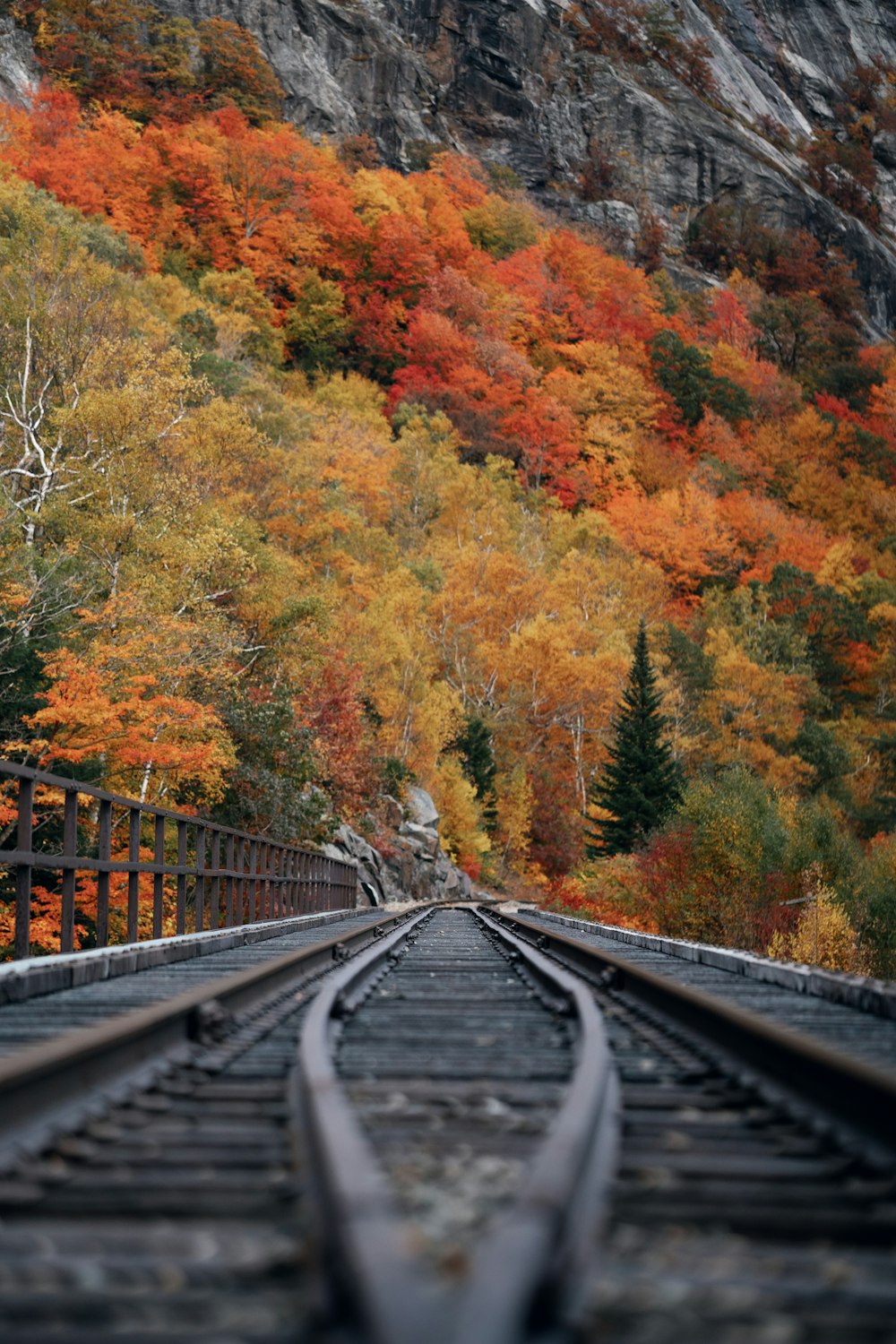 a train track with trees on the side