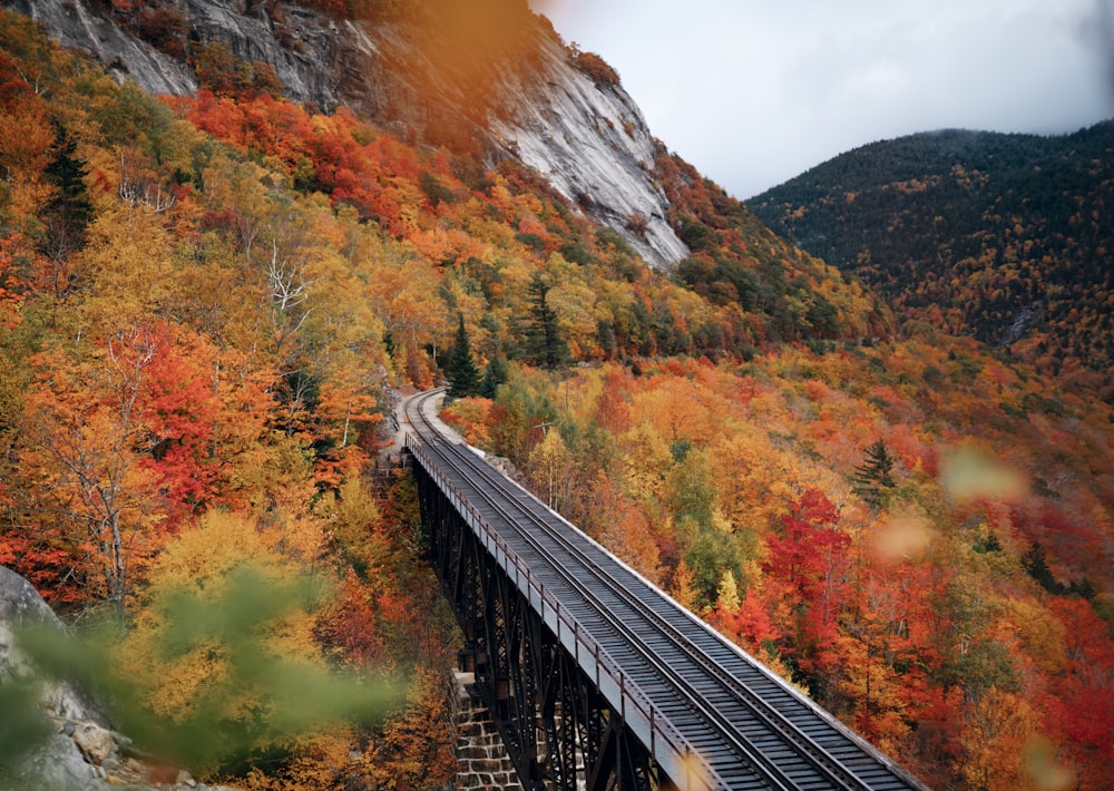 a bridge going over a mountain