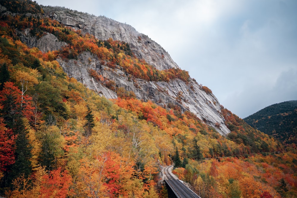 a bridge going over a mountain