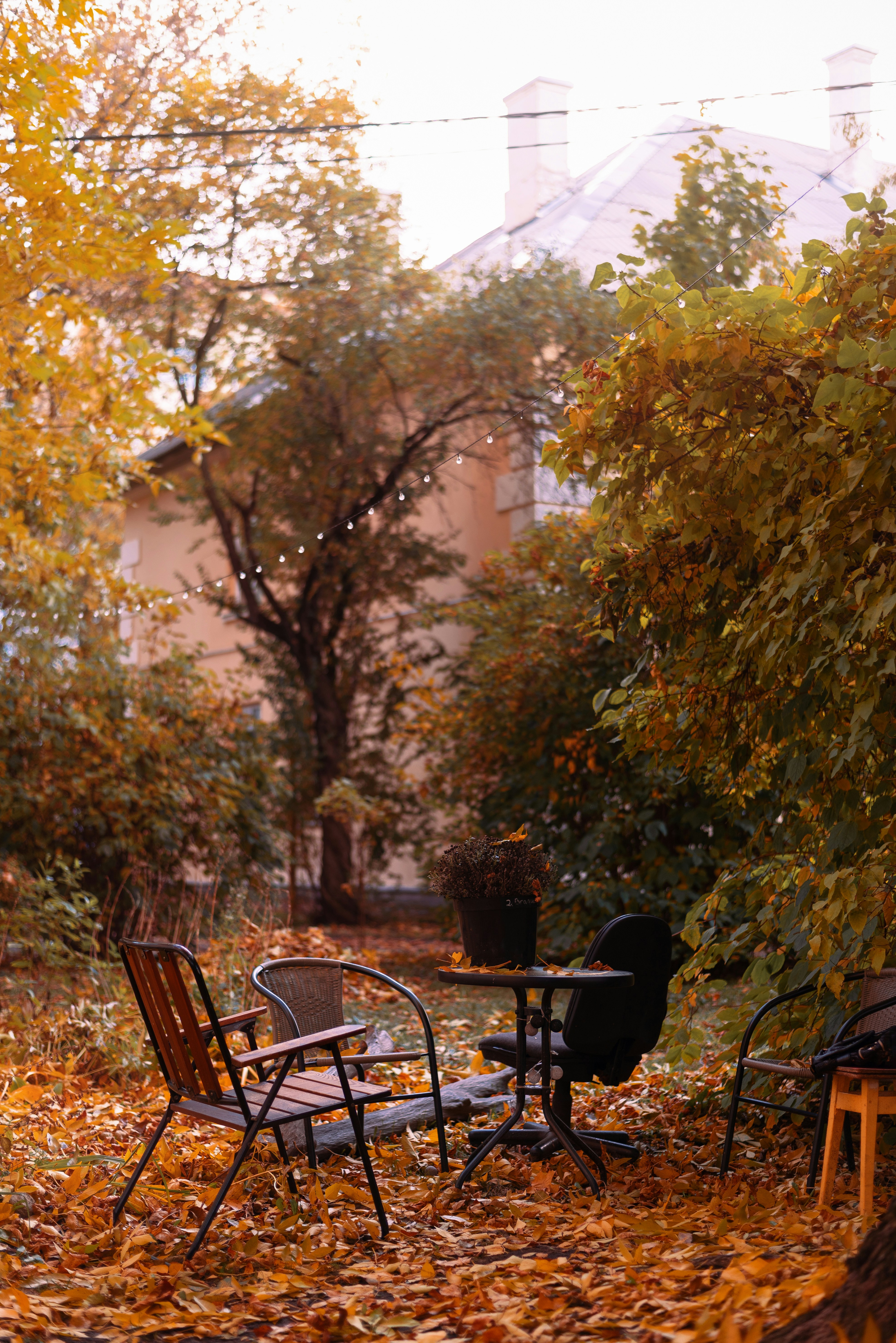 Photo by vadutskevich