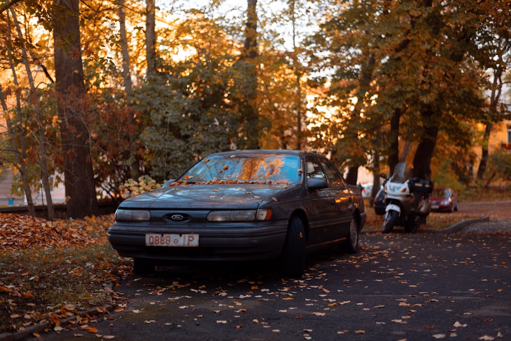ein Auto, das auf einer Straße mit Bäumen auf beiden Seiten geparkt ist