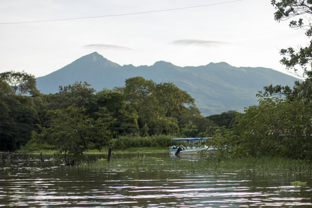 a boat in a lake