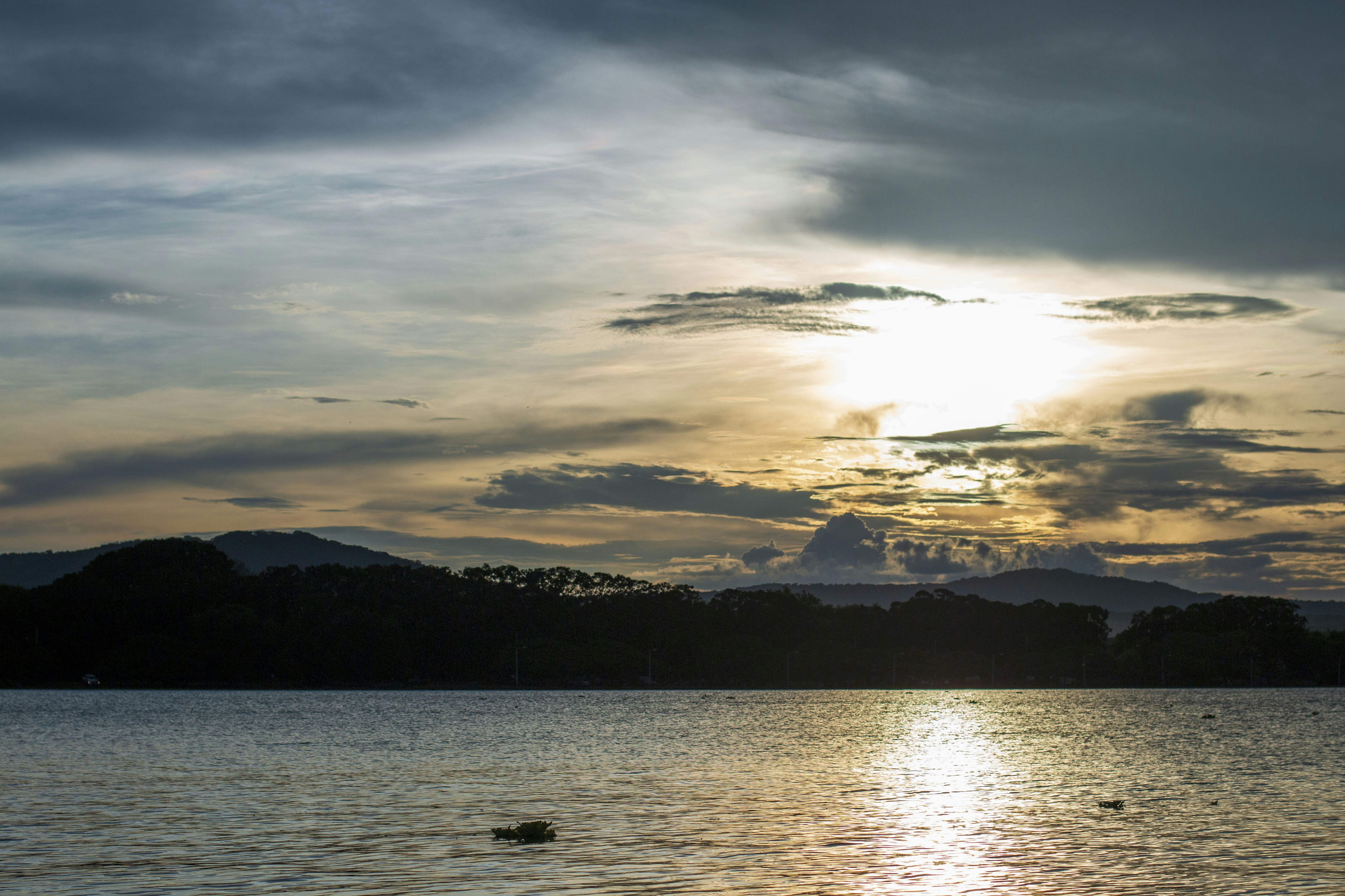 Photo by alvisonhunter