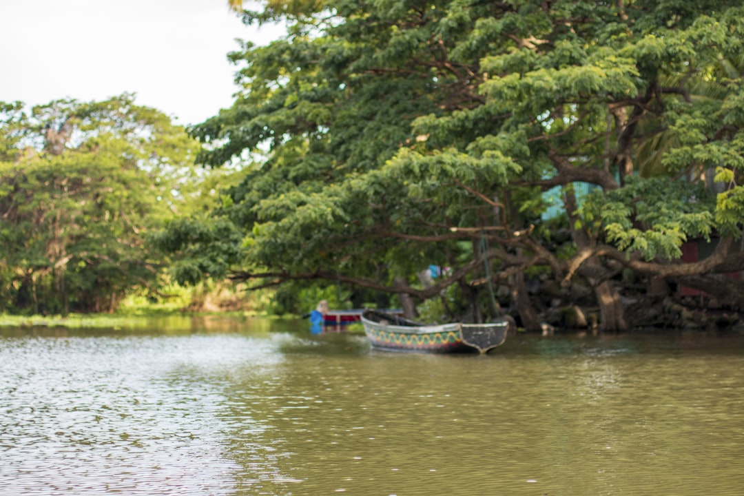 a couple of boats sit in a river, Granada Islets boat trip - Boat on an islet -Granada Nicaragua