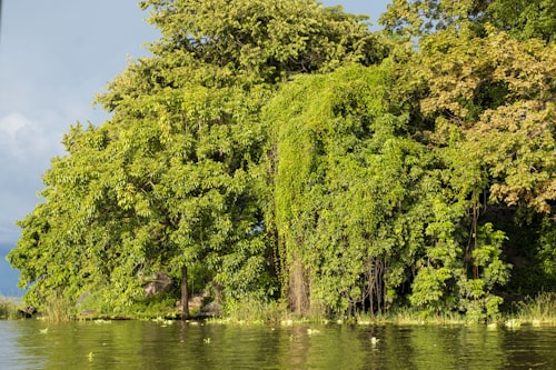 Granada Islets Nicaragua