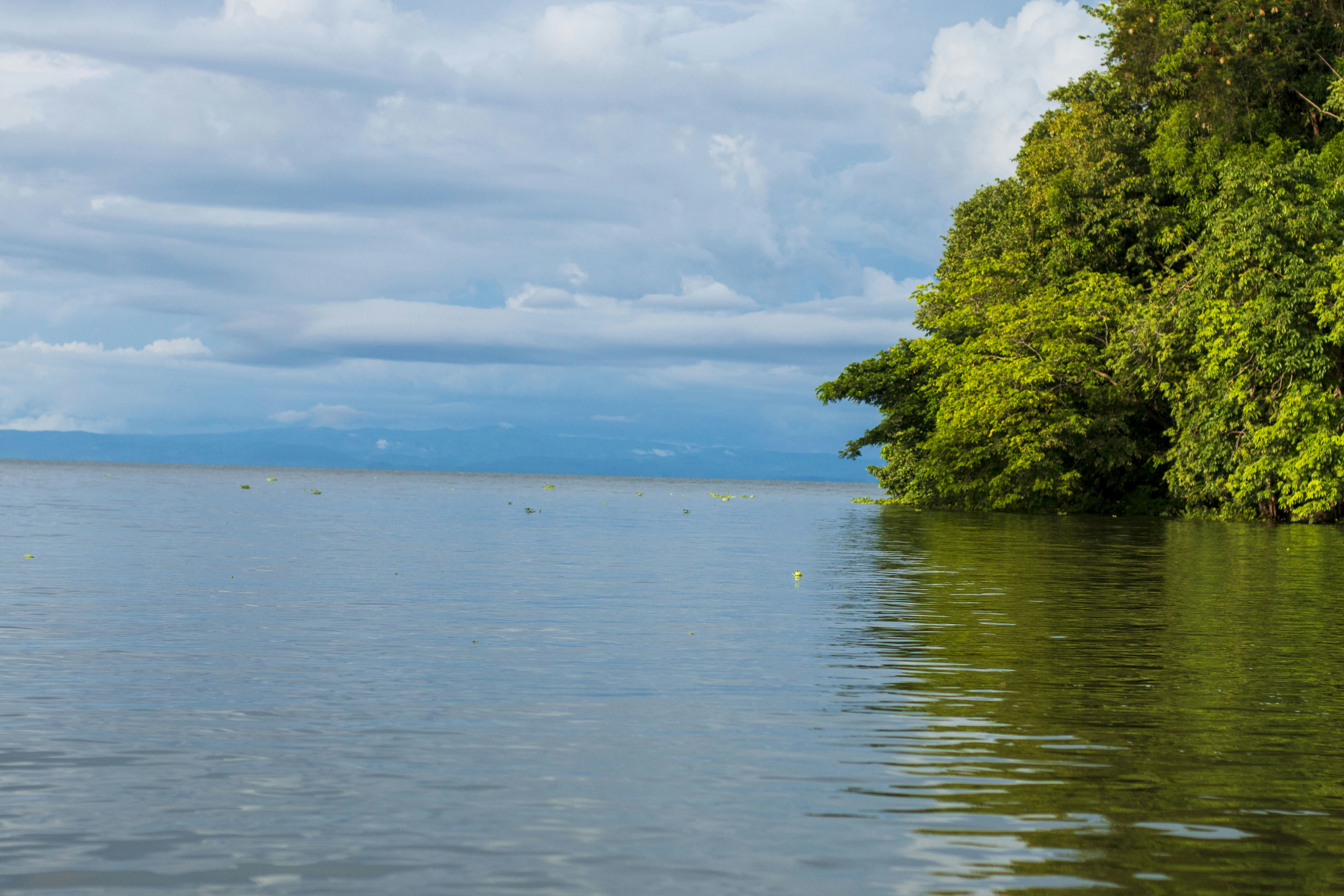 a body of water with trees on the side, Granada Islets boat trip- Another small islet with the horizon - Granada Nicaragua