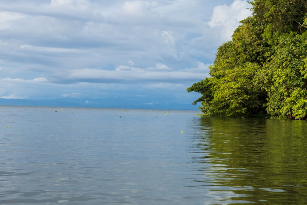 a body of water with trees on the side