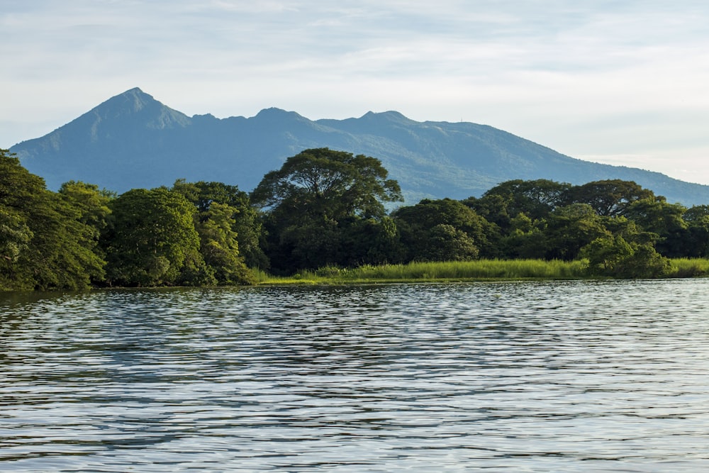 a body of water with trees and mountains in the background