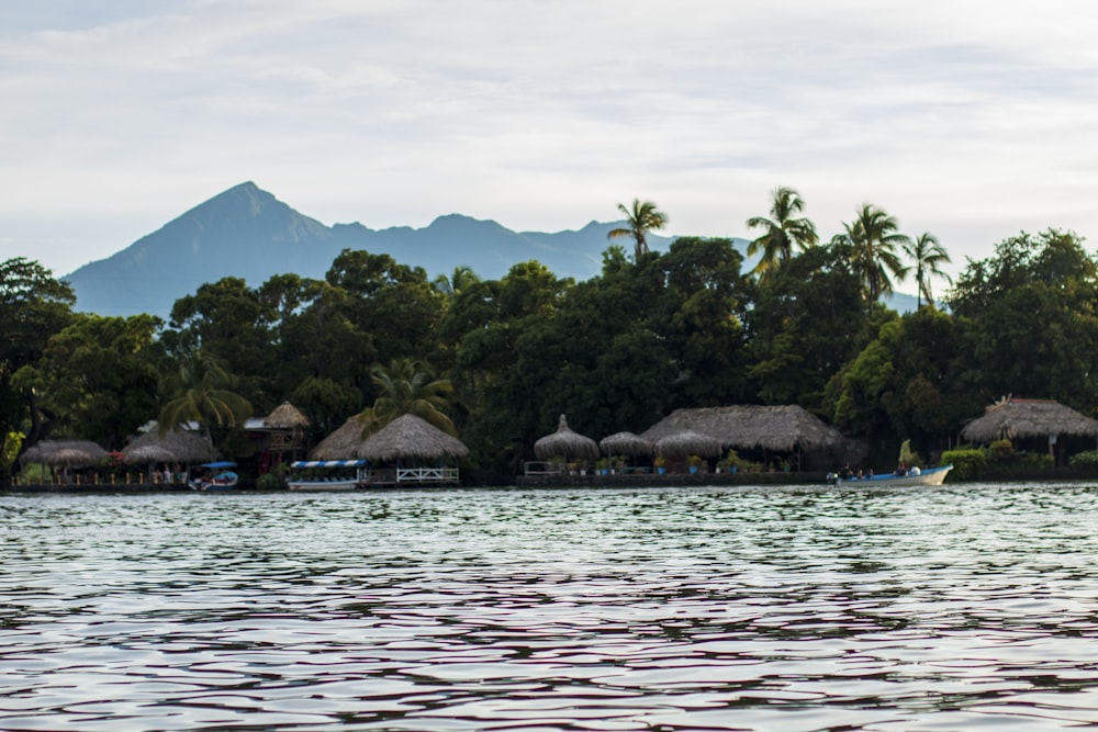 a body of water with houses and trees along it