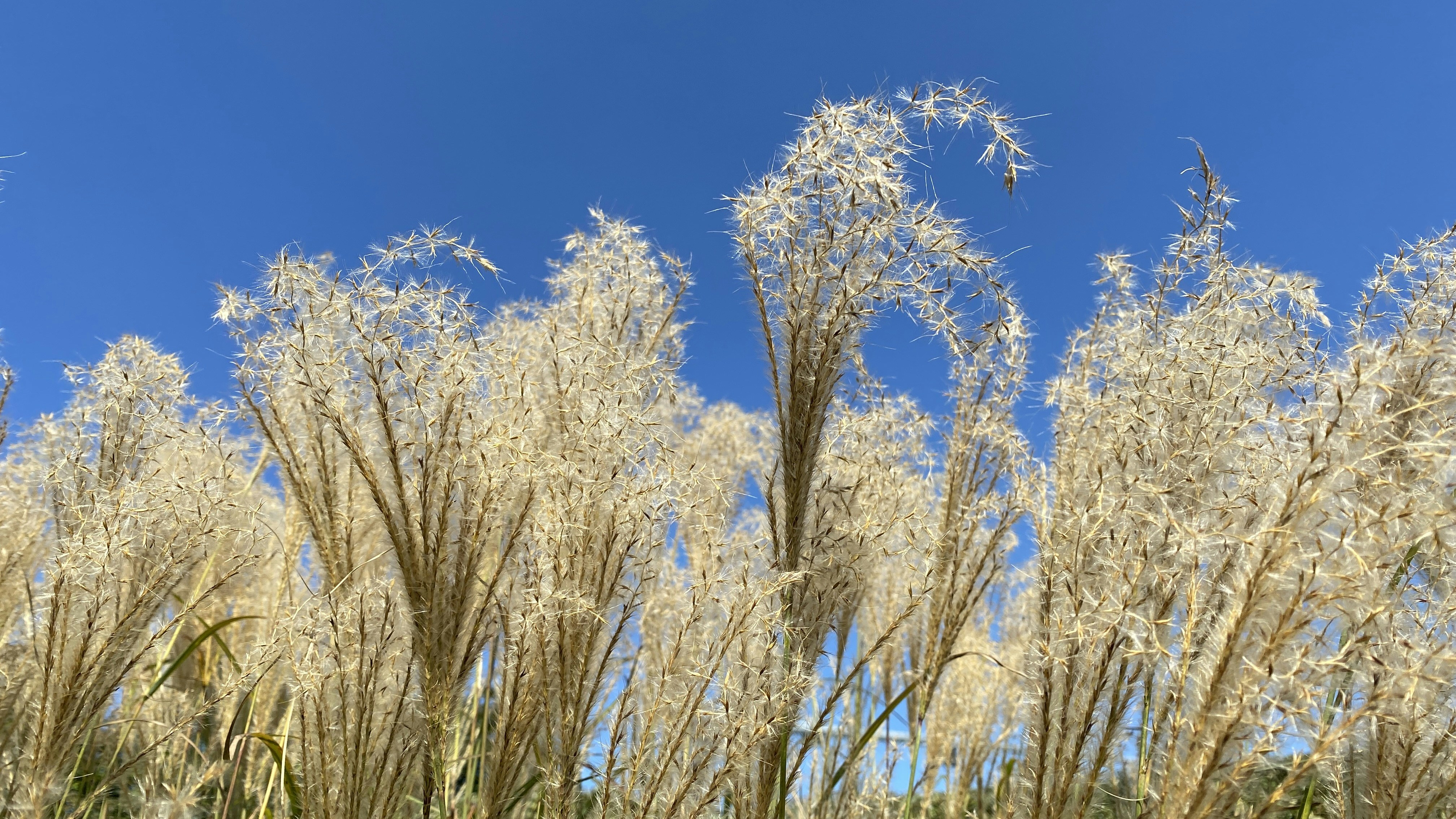 Photo by mike_romeo_hotel