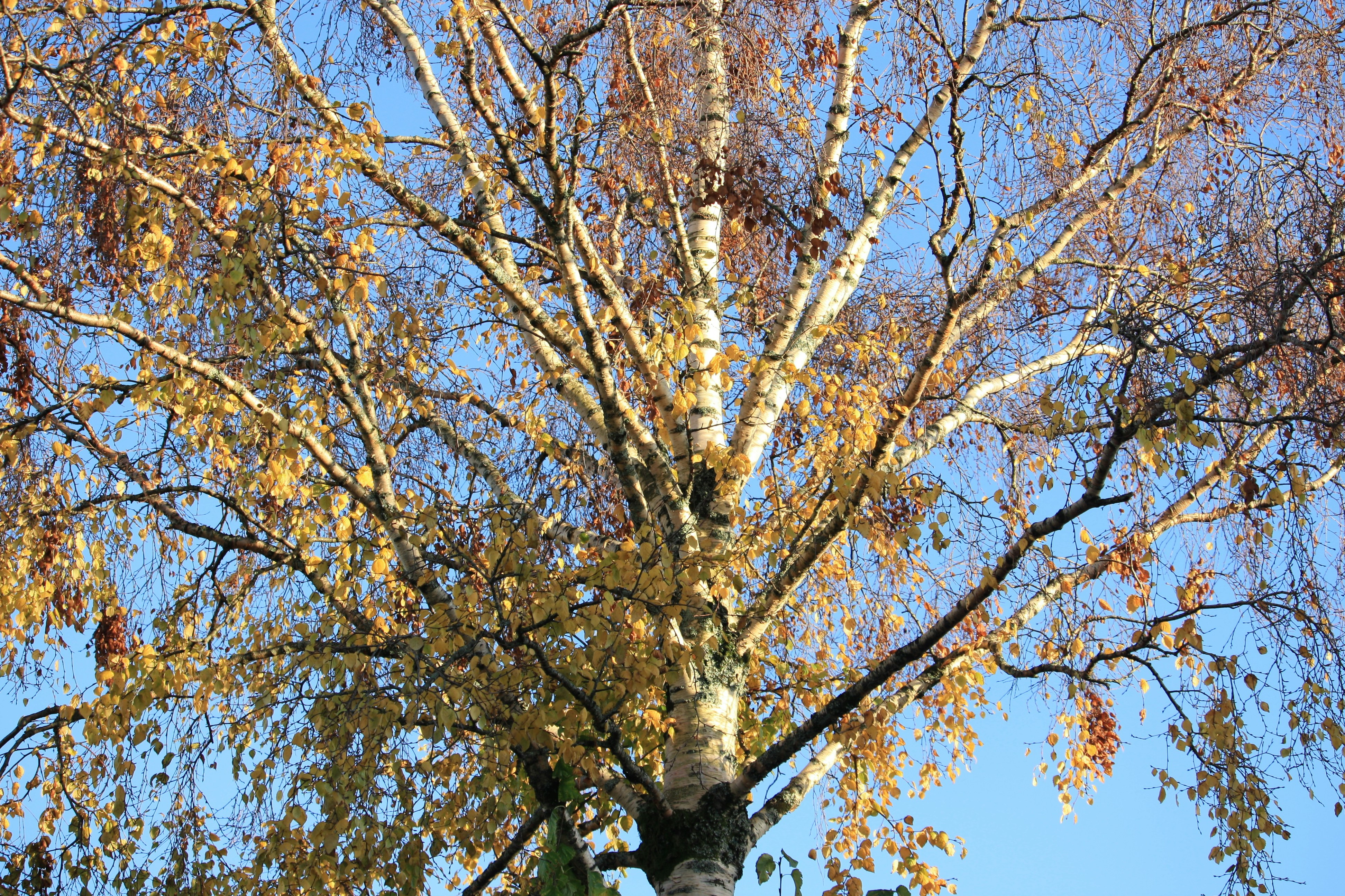 随记 | 真的不想上班