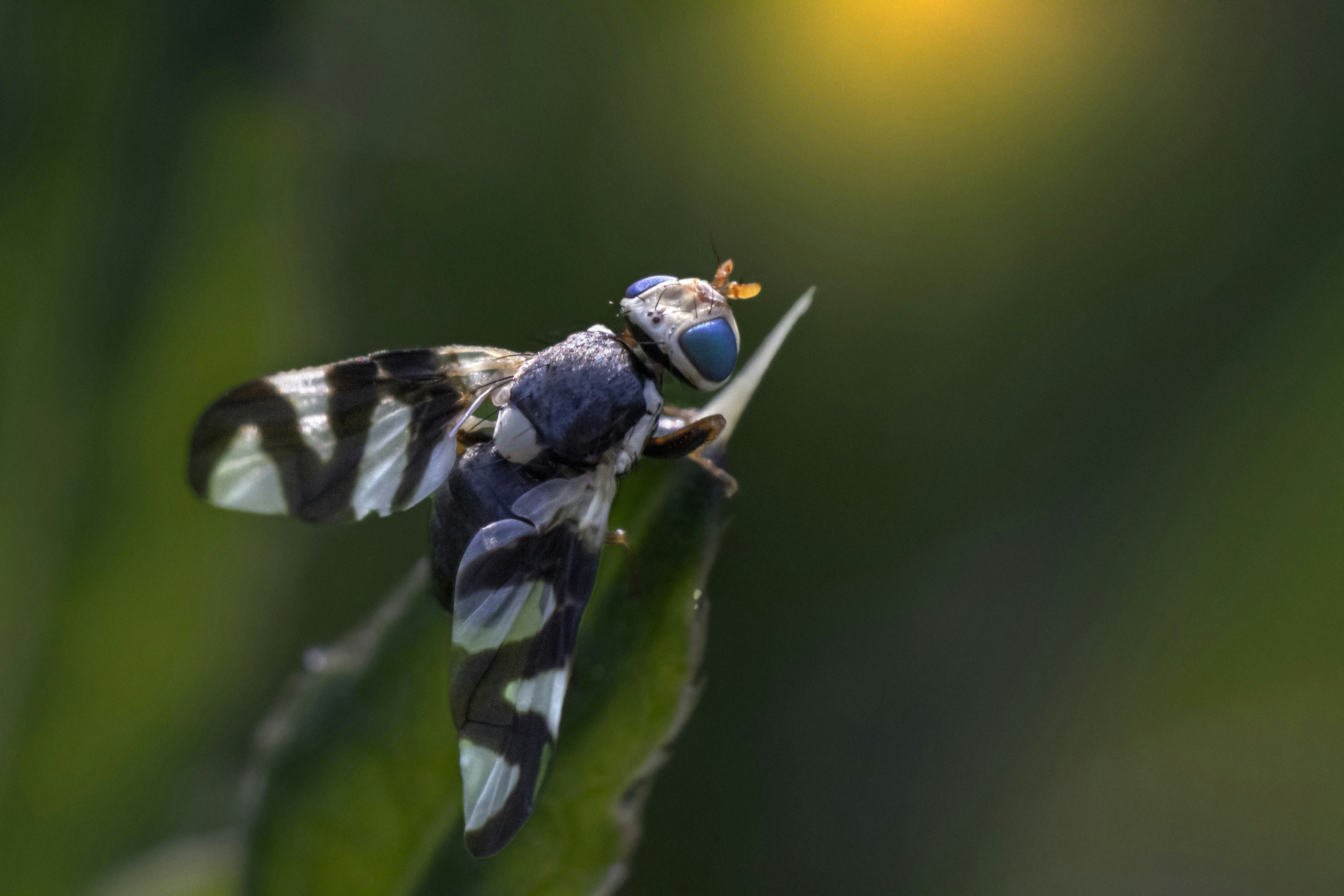 Photo by erik_karits