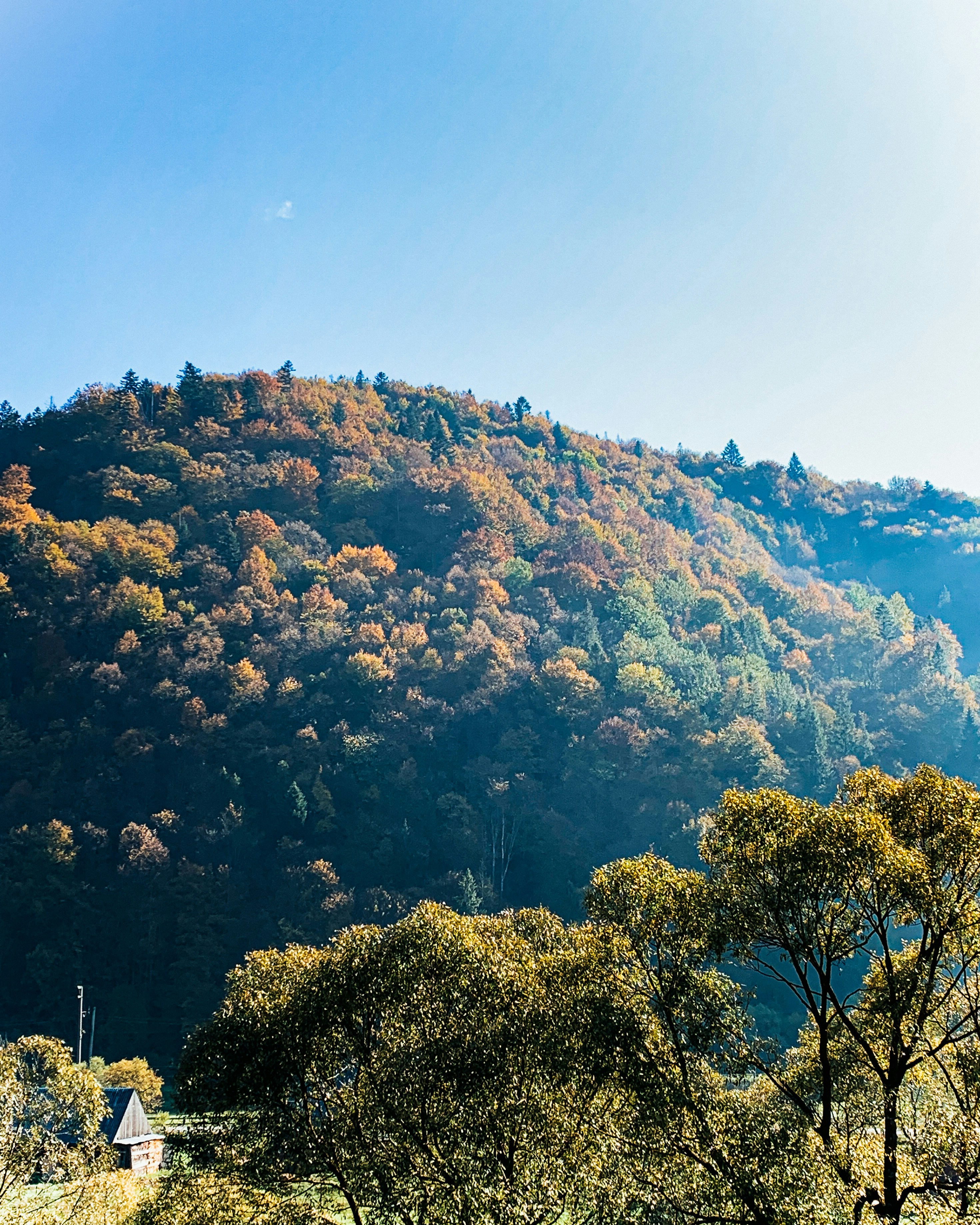 Photo by bocharovalex