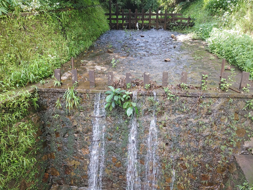 a muddy stream with a fence and plants around it