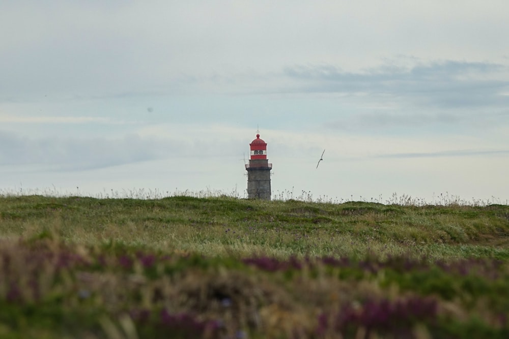 a lighthouse in a field