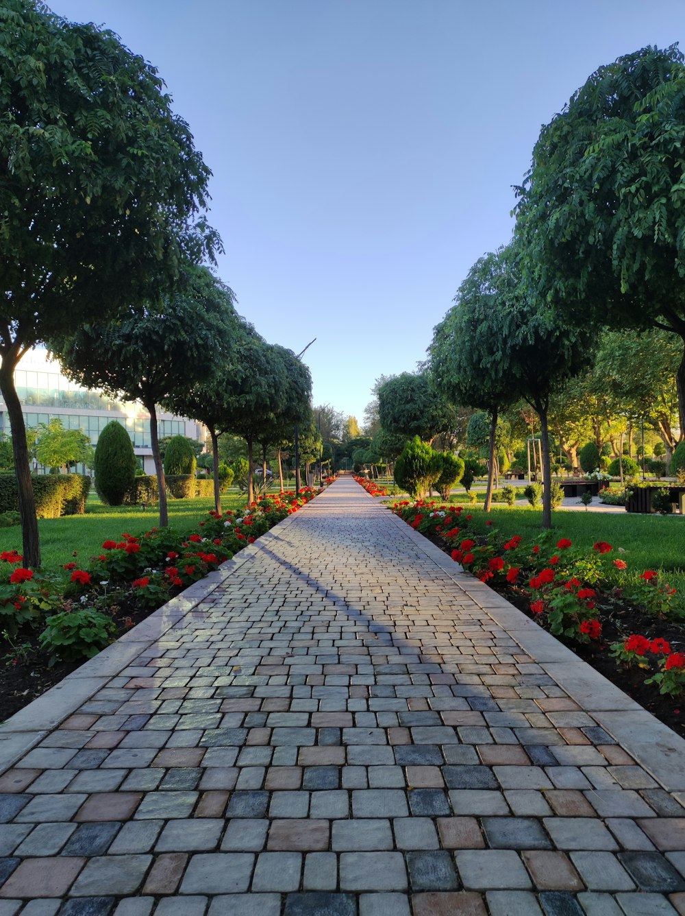 a brick walkway with trees and flowers