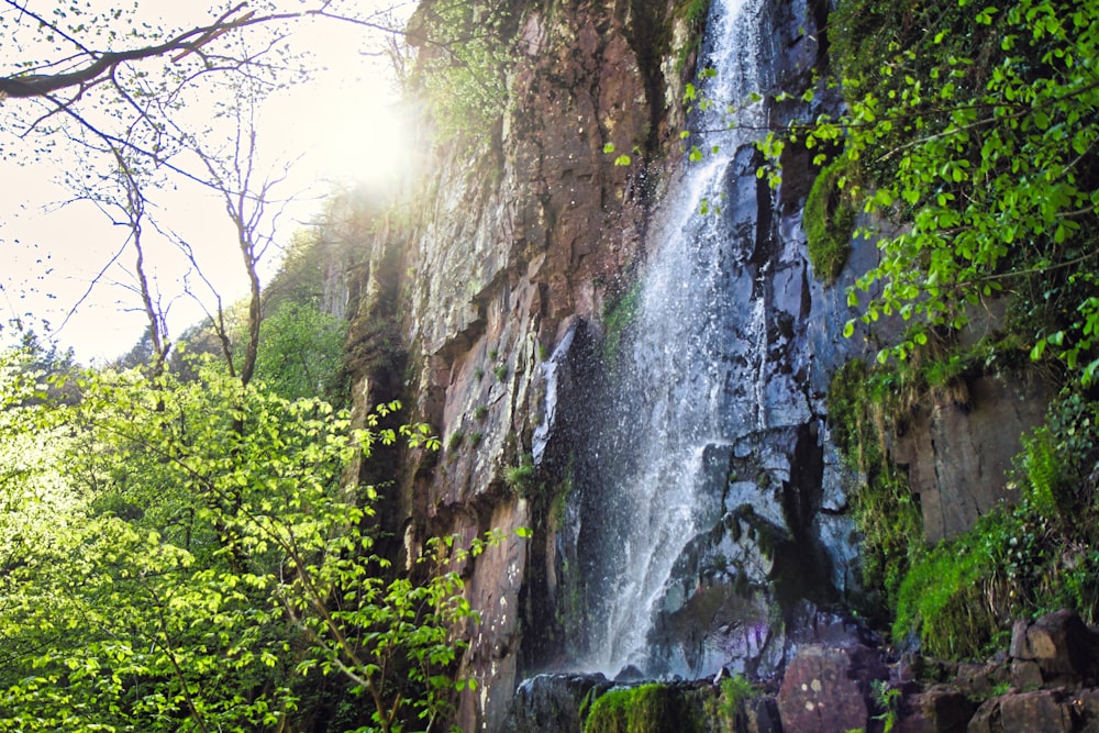 a waterfall in a forest