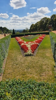 A manicured garden with a prominent triangular floral arrangement composed of red and white flowers. The garden is bordered by neatly trimmed hedges. In the background, there are trees lining both sides, and a person is walking along a path on the left side. A large decorative urn or sculpture is positioned on the right. The sky above is bright and blue, scattered with fluffy white clouds.