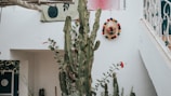 a tree with a stuffed animal on it