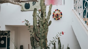 a tree with a stuffed animal on it