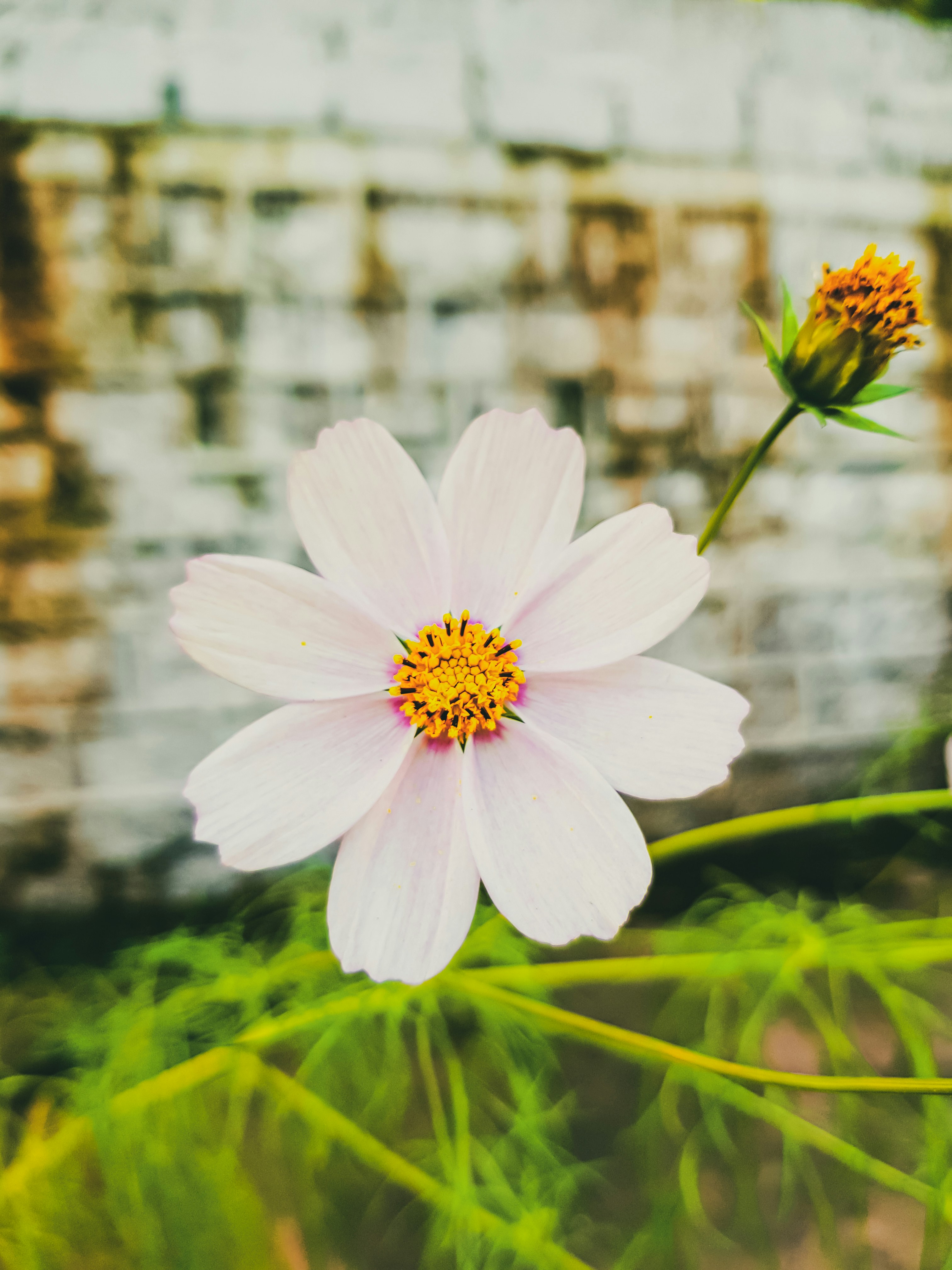 Photo by rehankhan2018