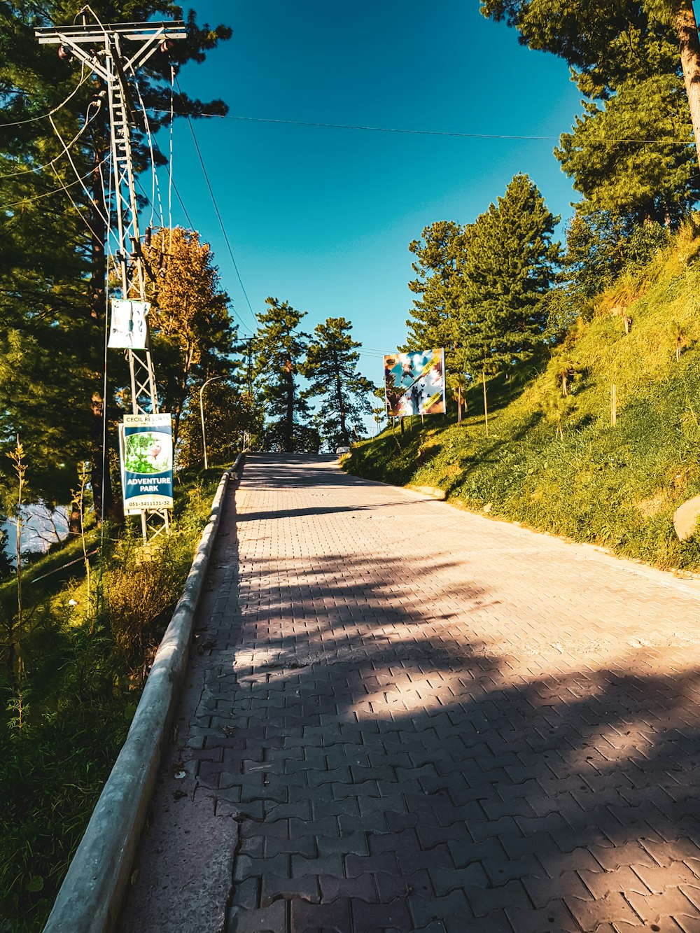 a brick road with trees on either side of it