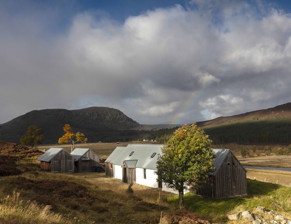 a group of buildings in a field