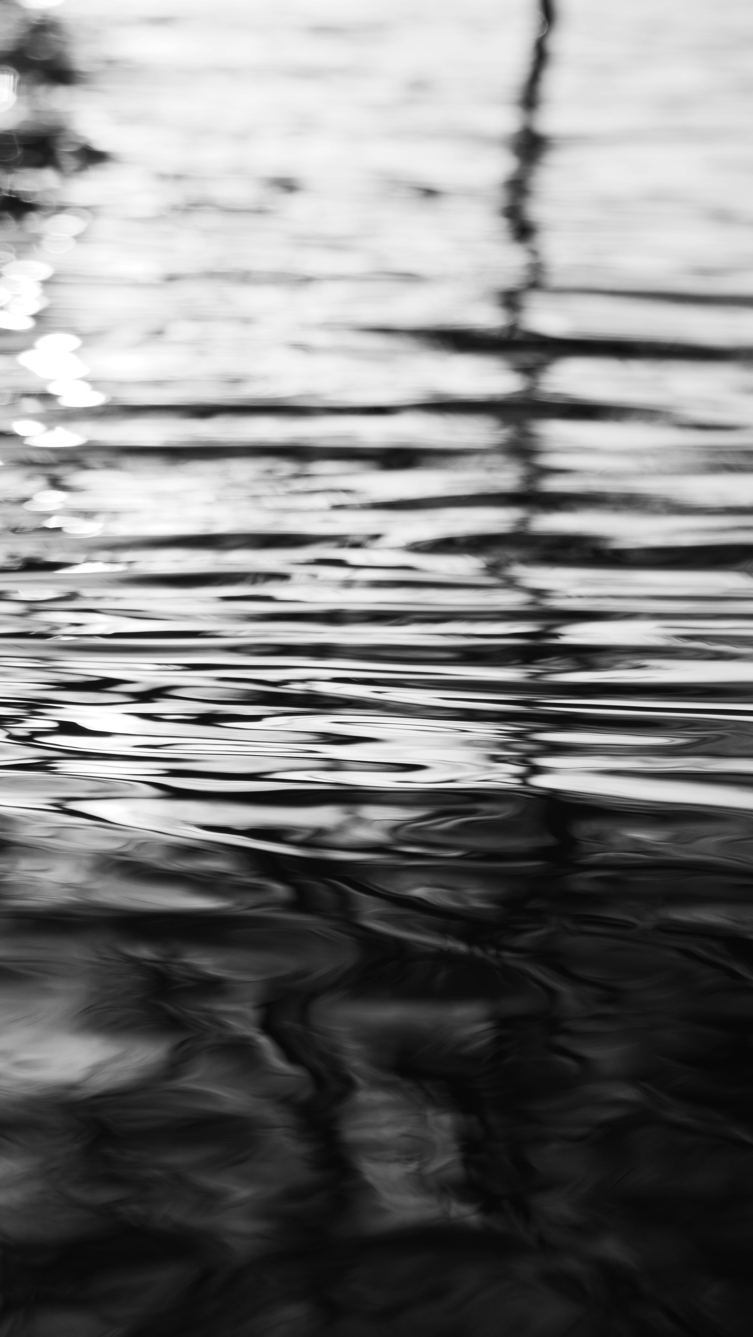 Photo by trappedinflesh