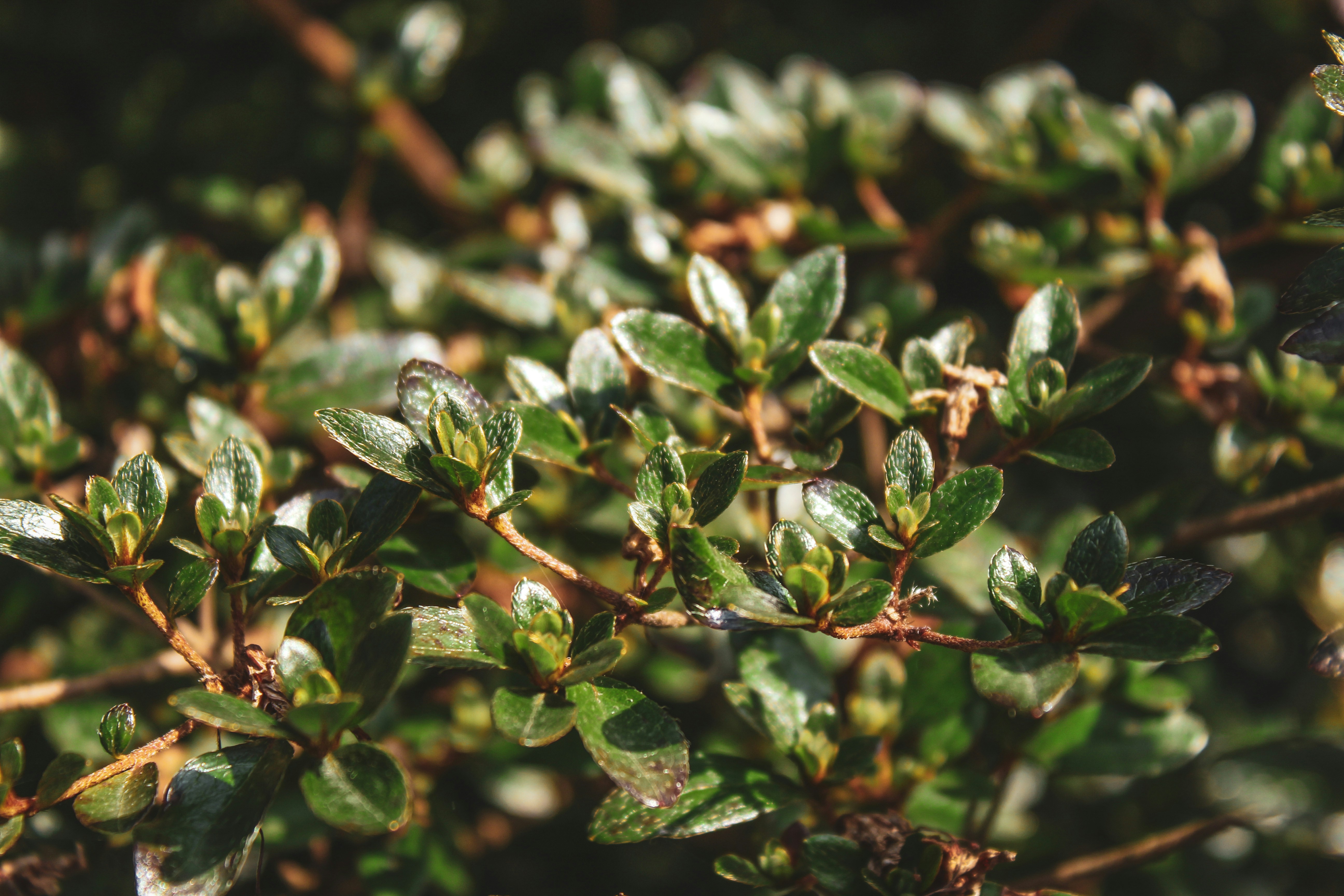 Photo by focalinsight