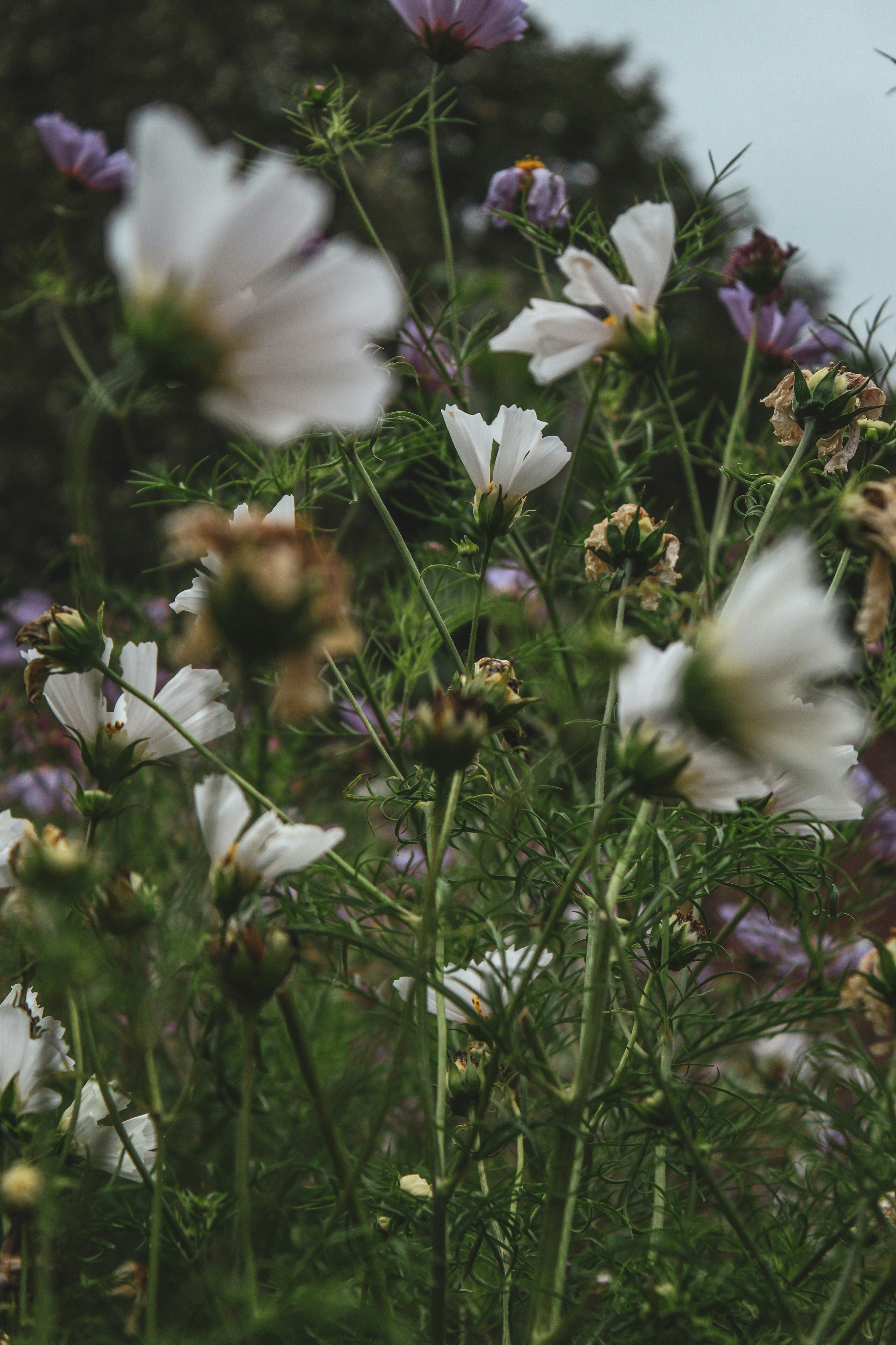 Photo by focalinsight