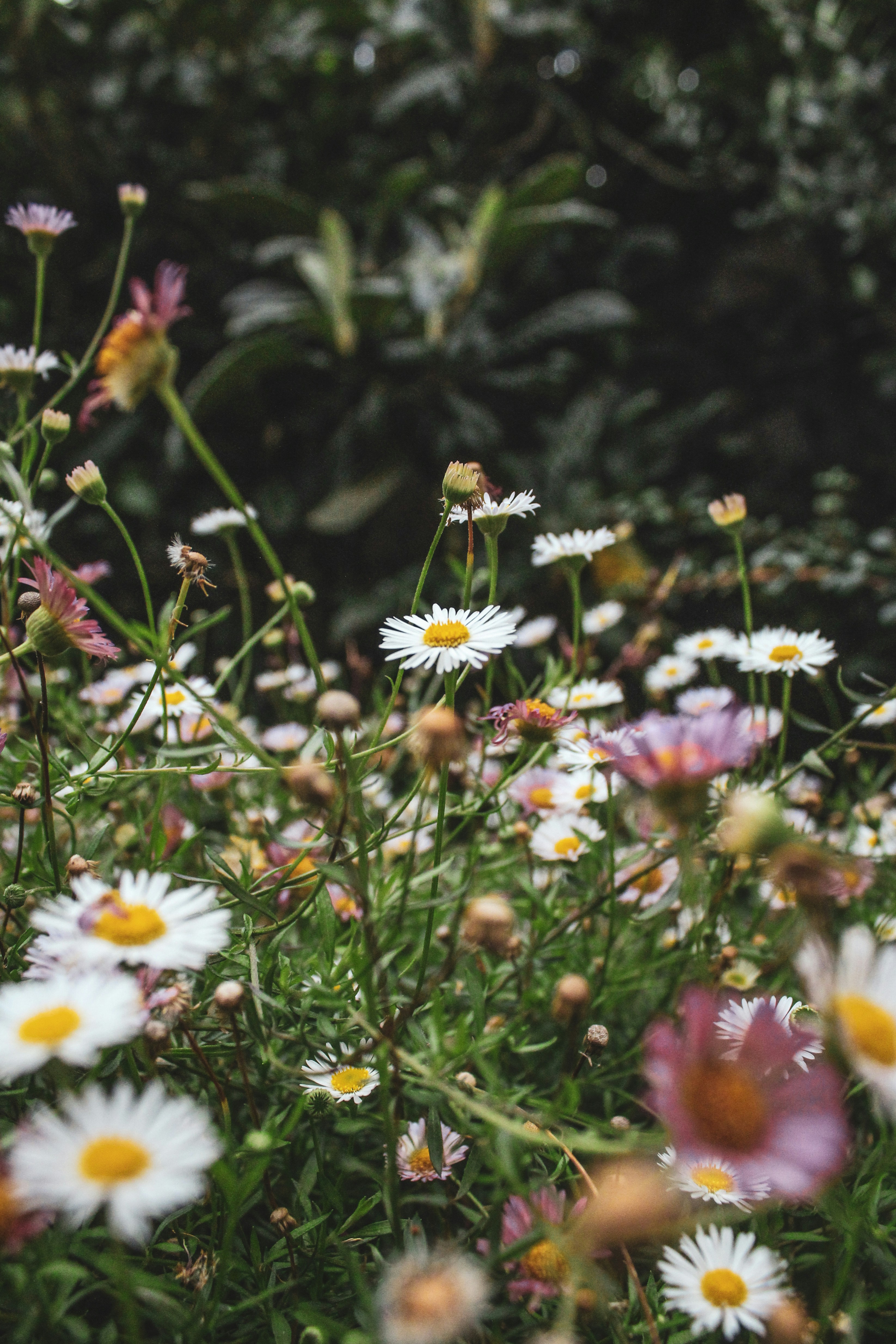 Photo by focalinsight