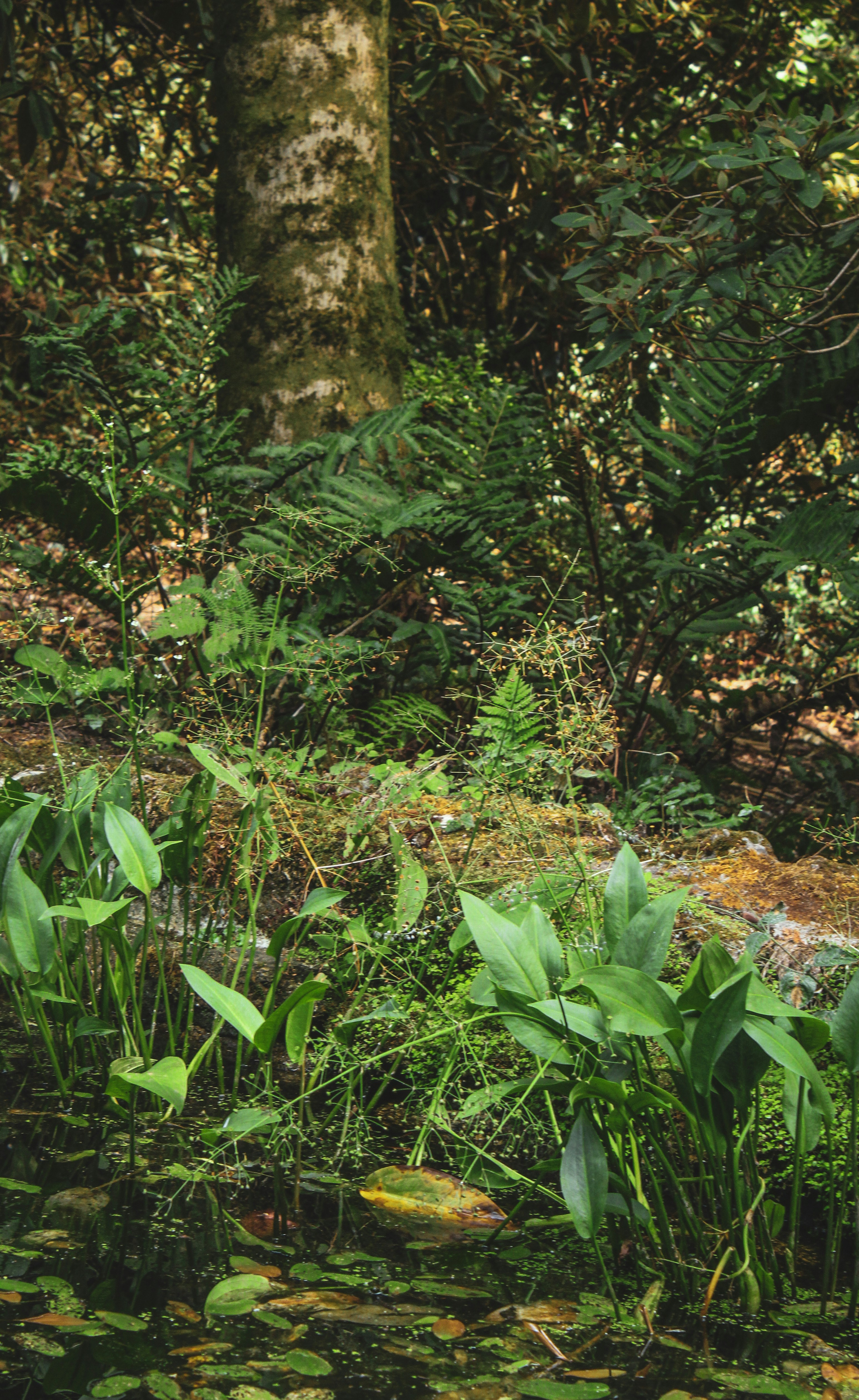 Photo by focalinsight