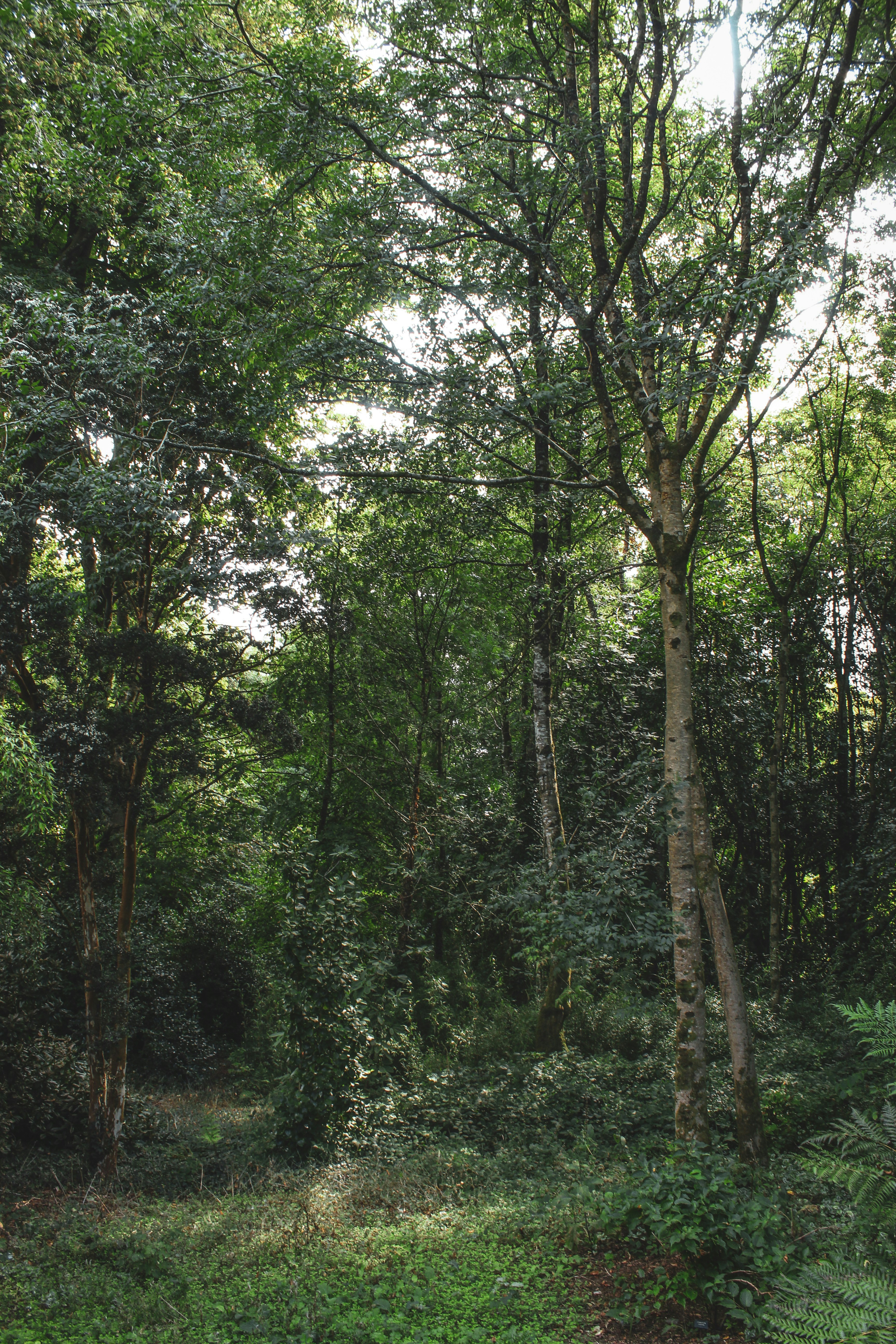 Photo by focalinsight