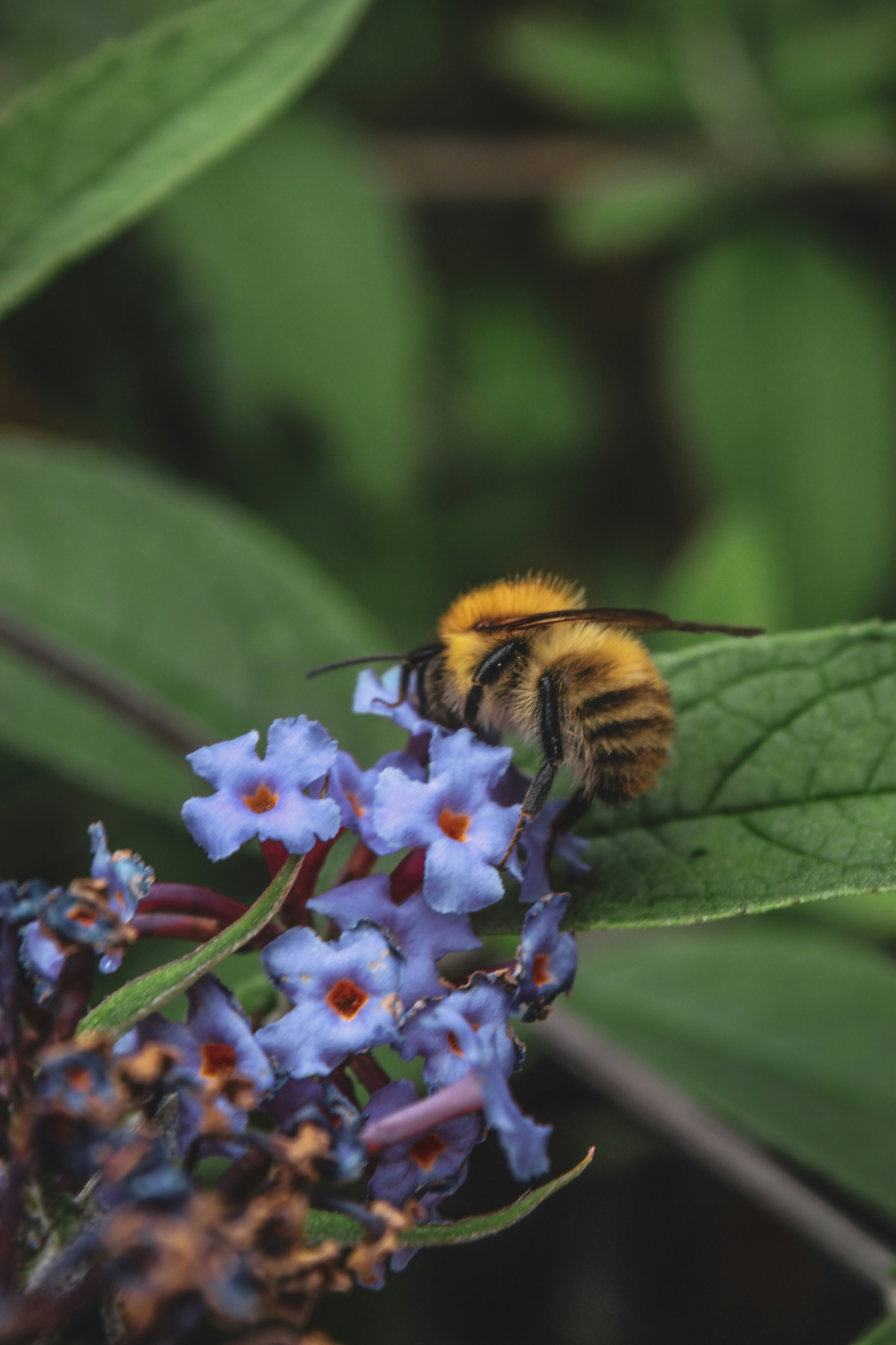 Photo by focalinsight