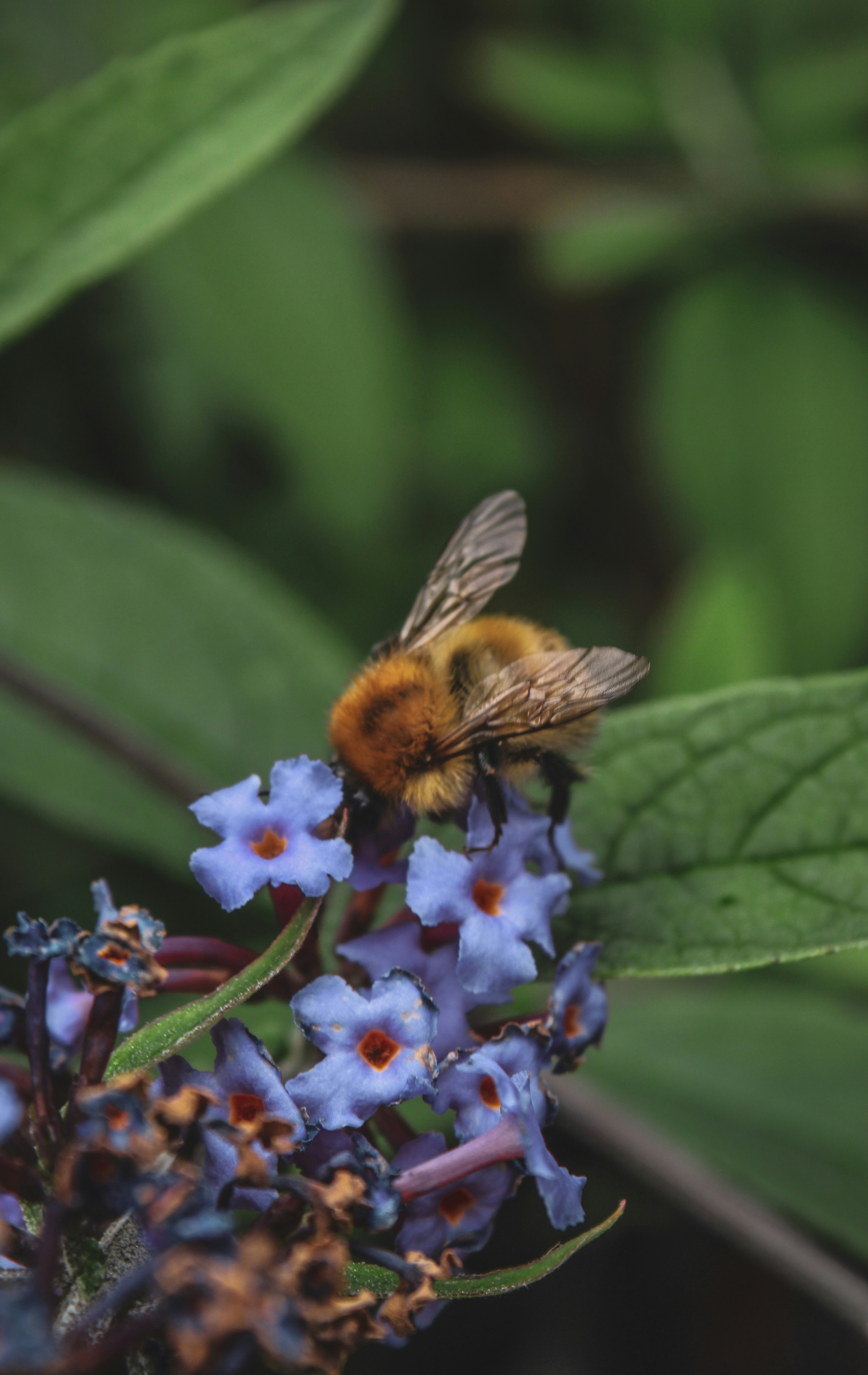 Photo by focalinsight