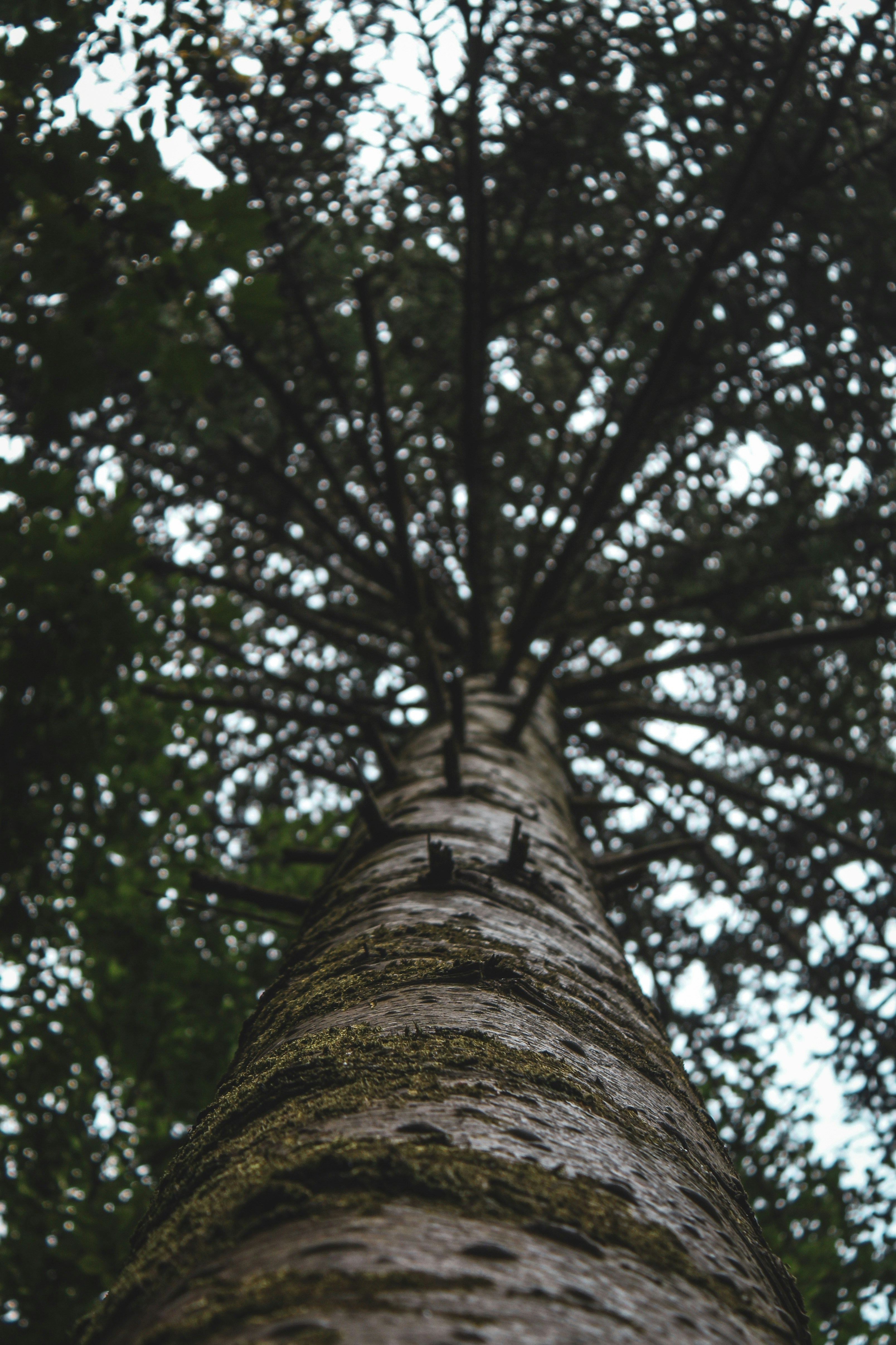 Photo by focalinsight