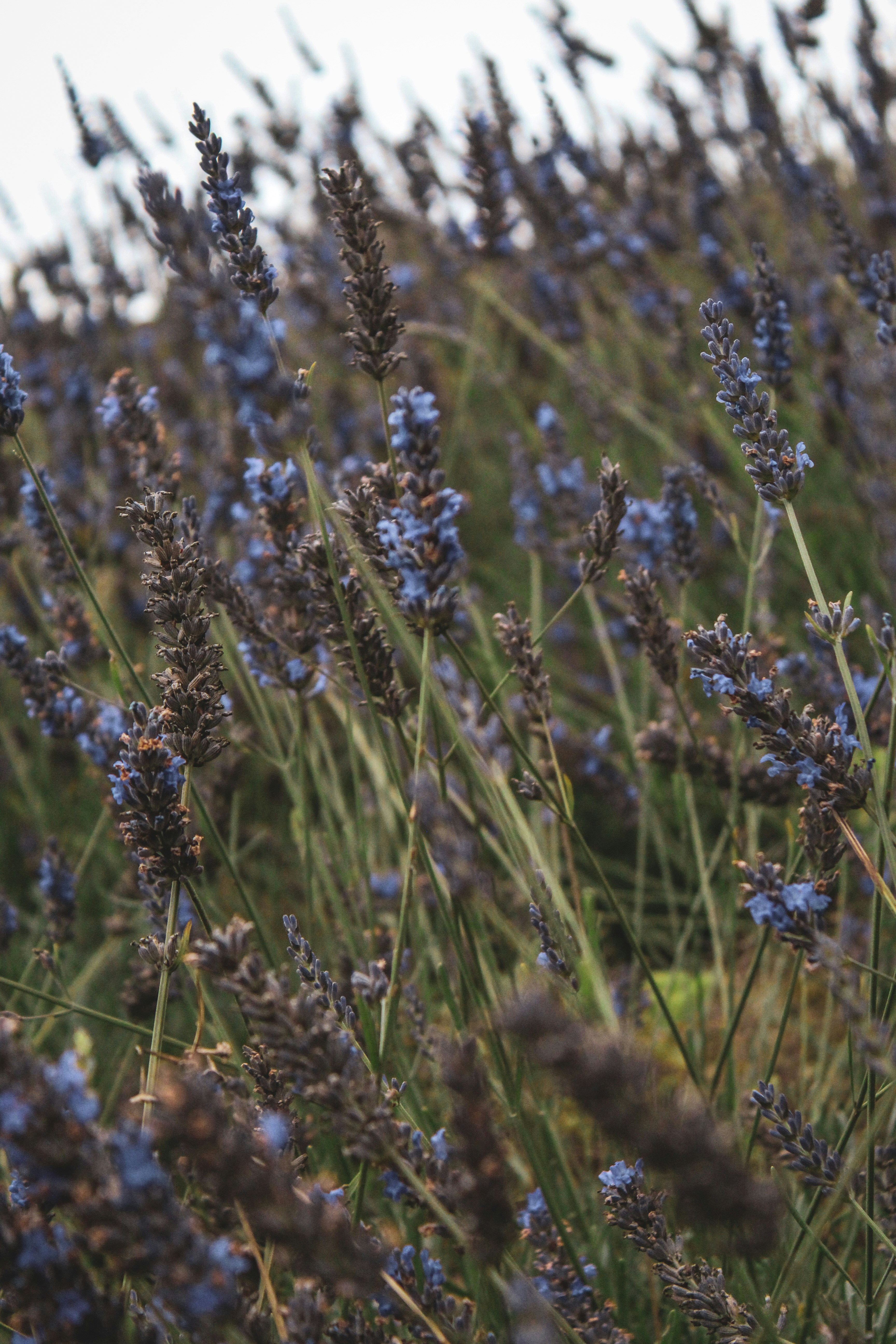 Photo by focalinsight