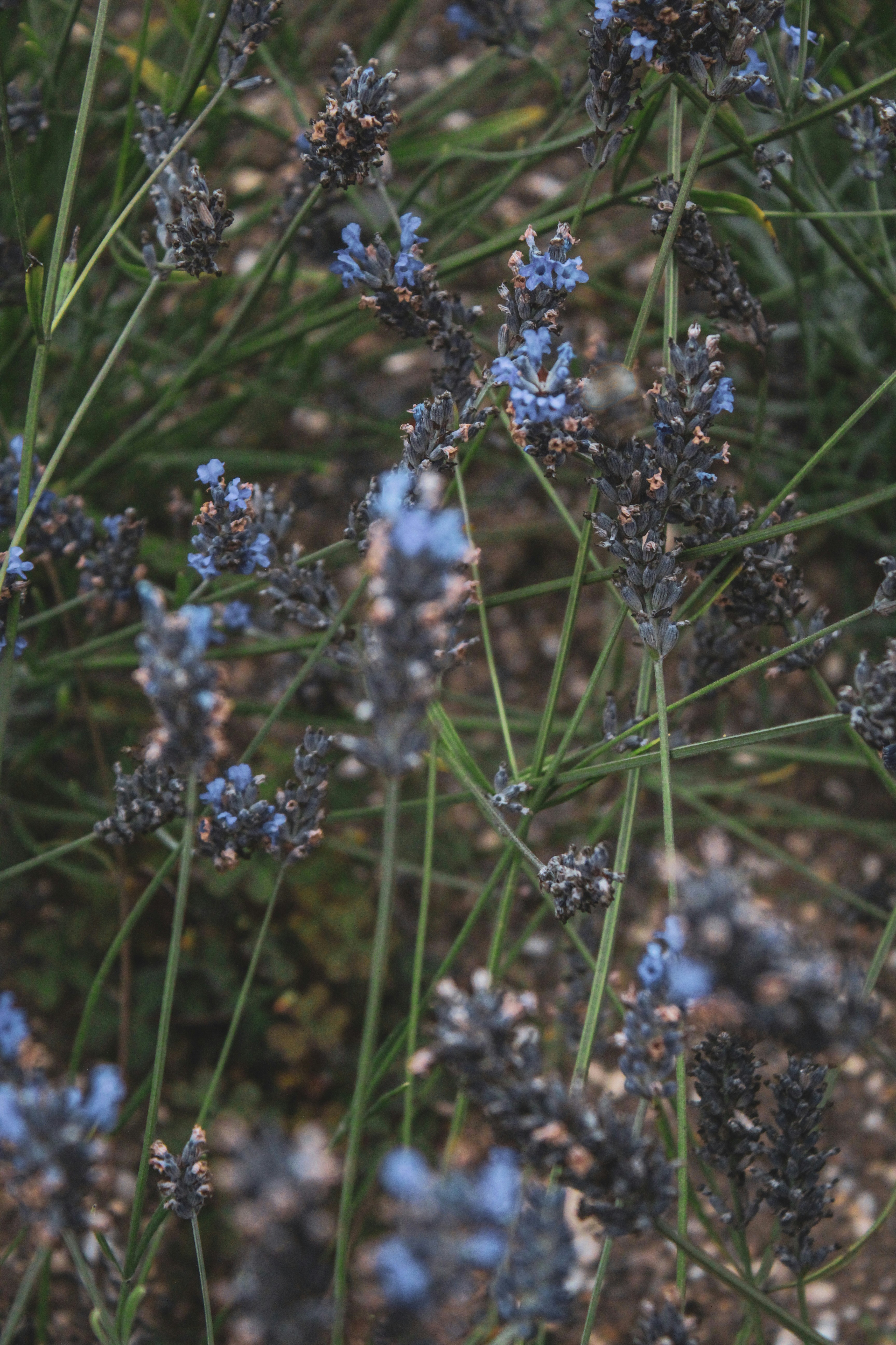 Photo by focalinsight