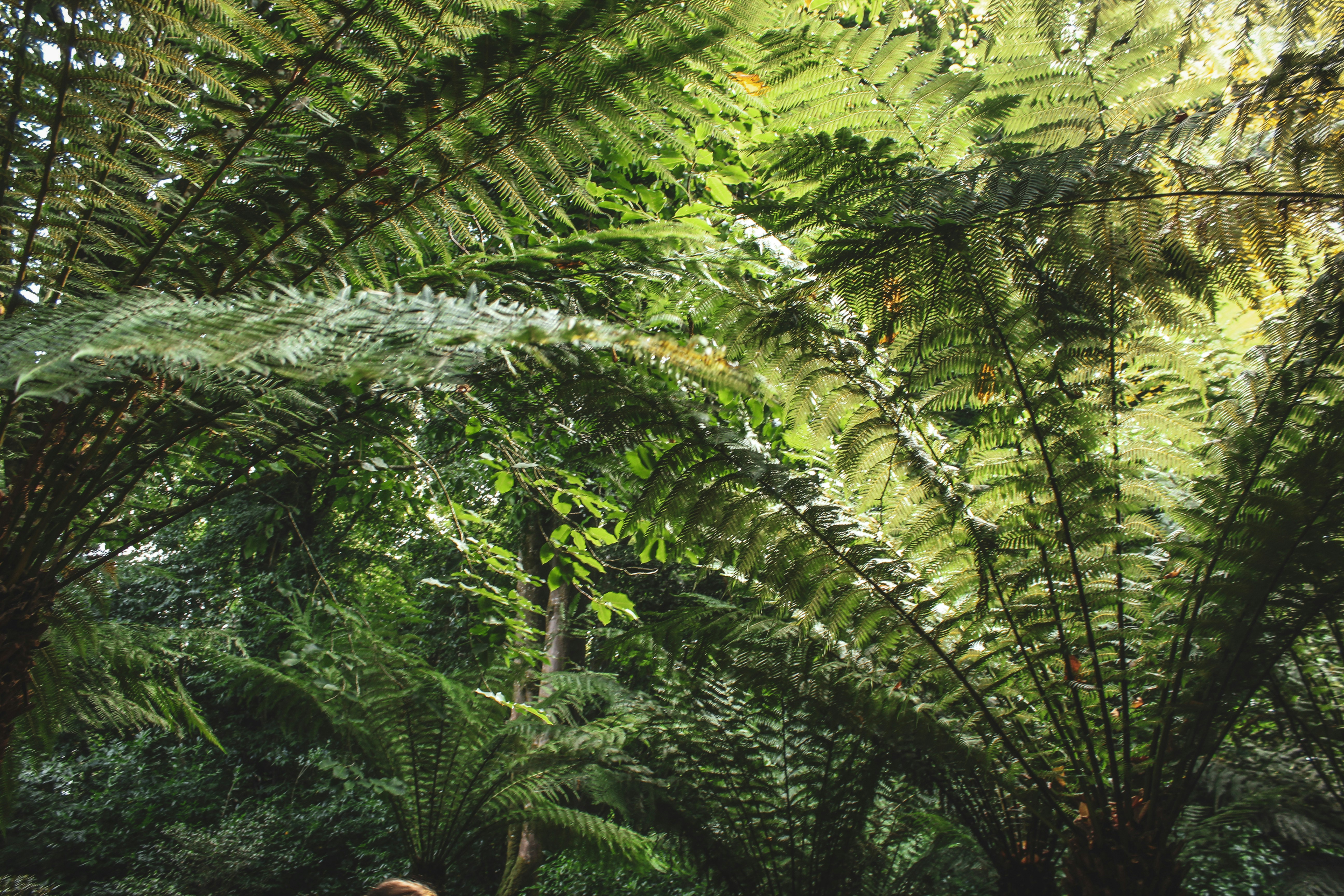 Photo by focalinsight