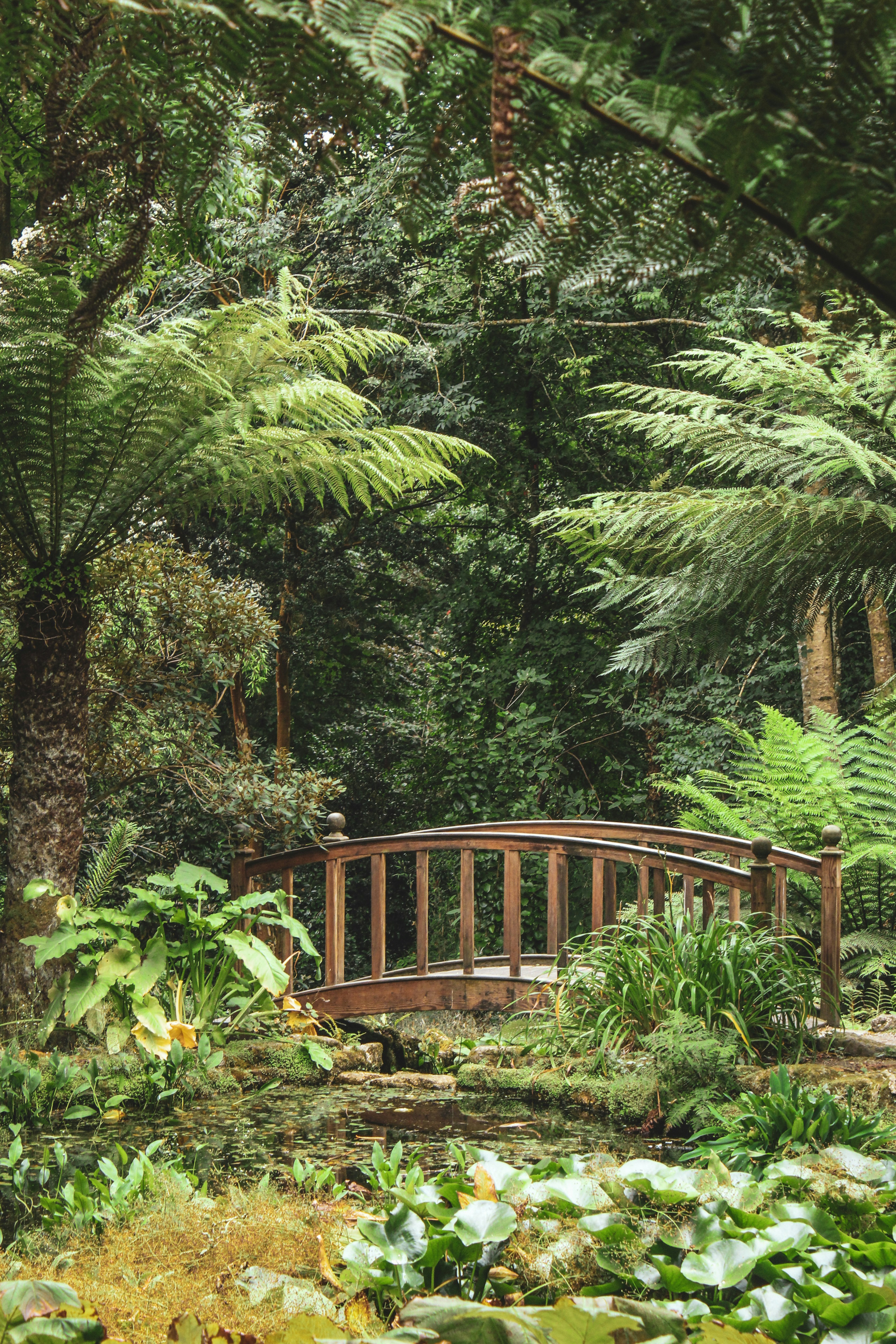 Photo by focalinsight