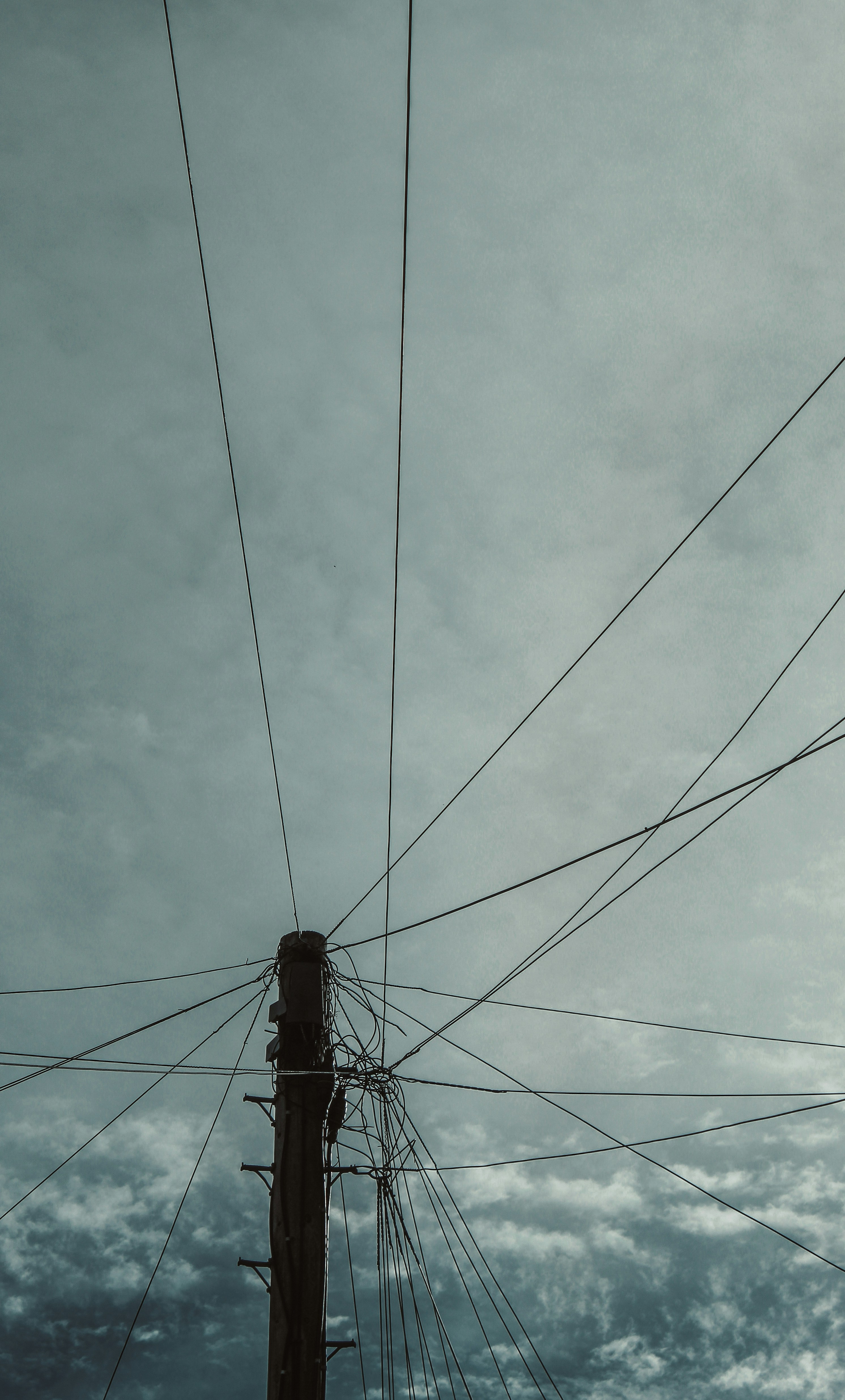 Photo by focalinsight