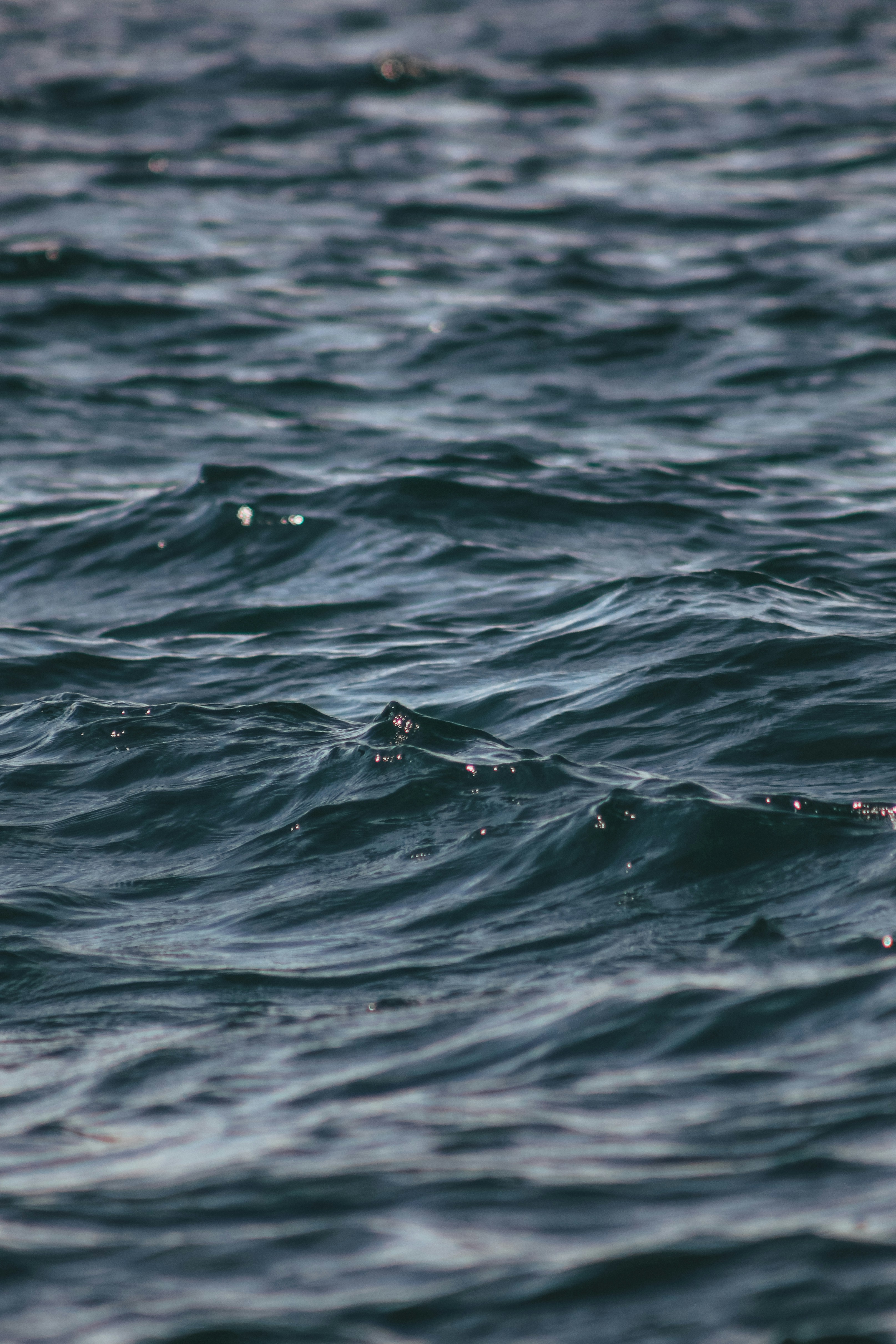 Photo by focalinsight