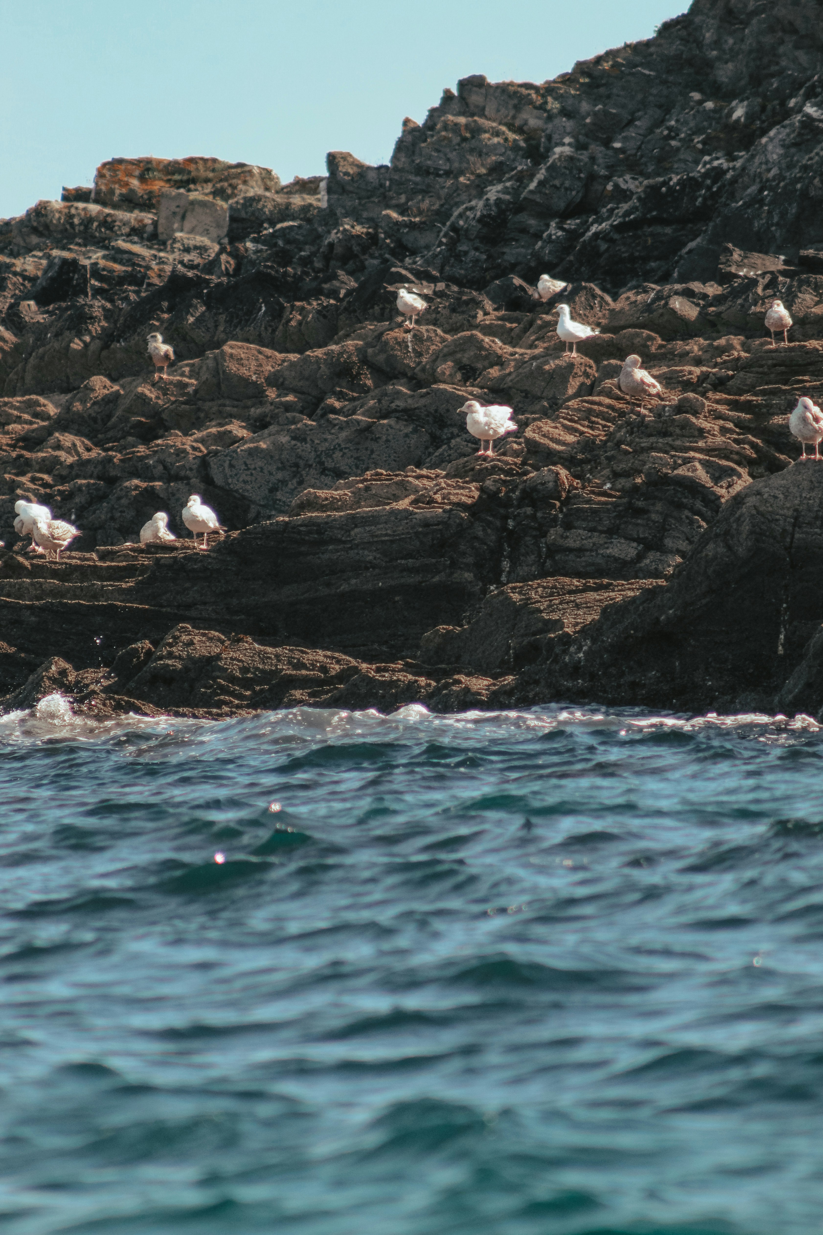 Photo by focalinsight