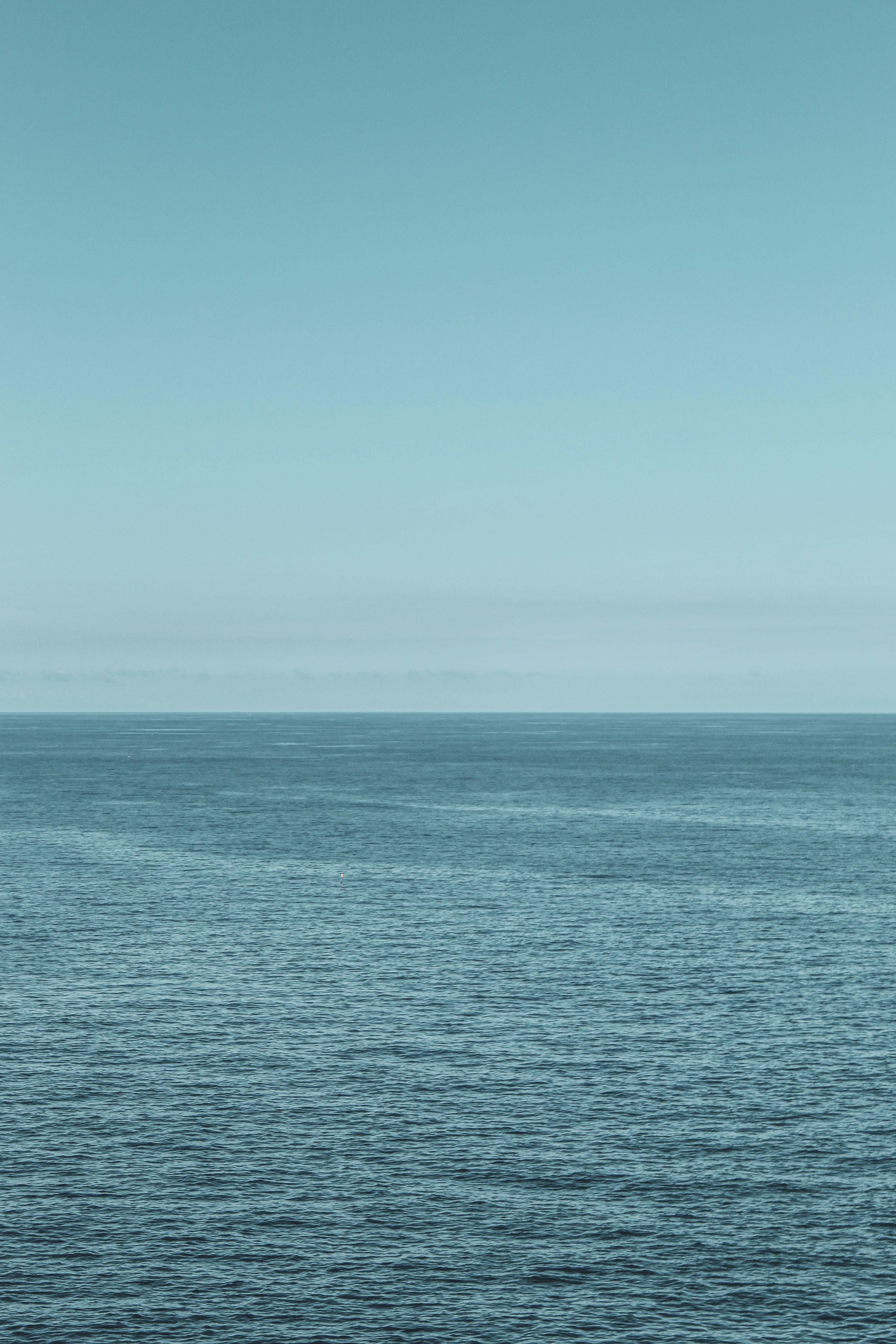 Photo by focalinsight