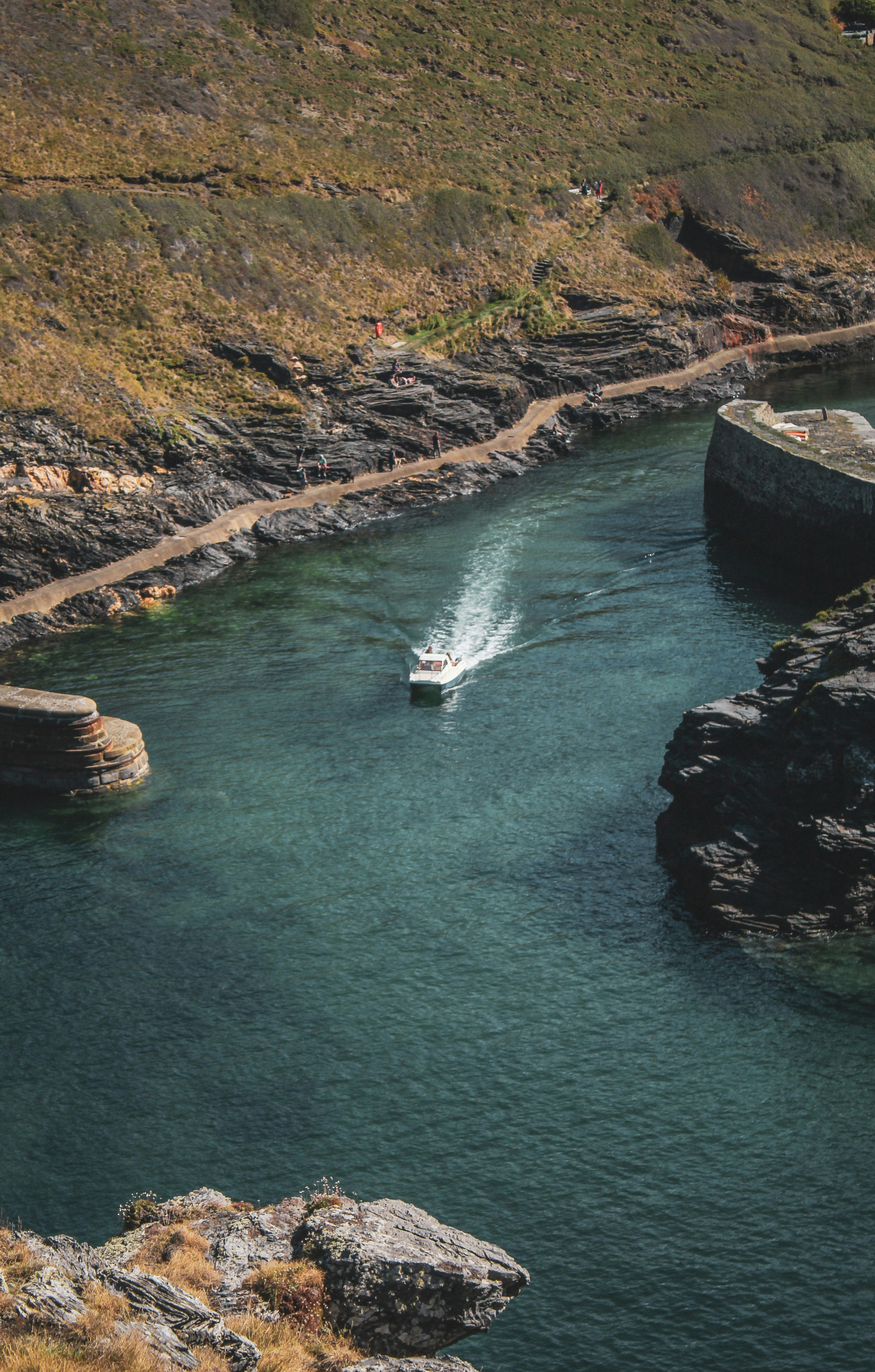 Photo by focalinsight