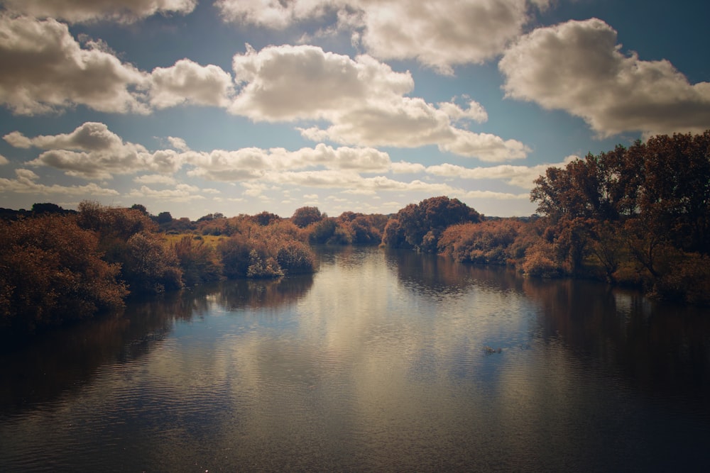 uno specchio d'acqua con alberi intorno