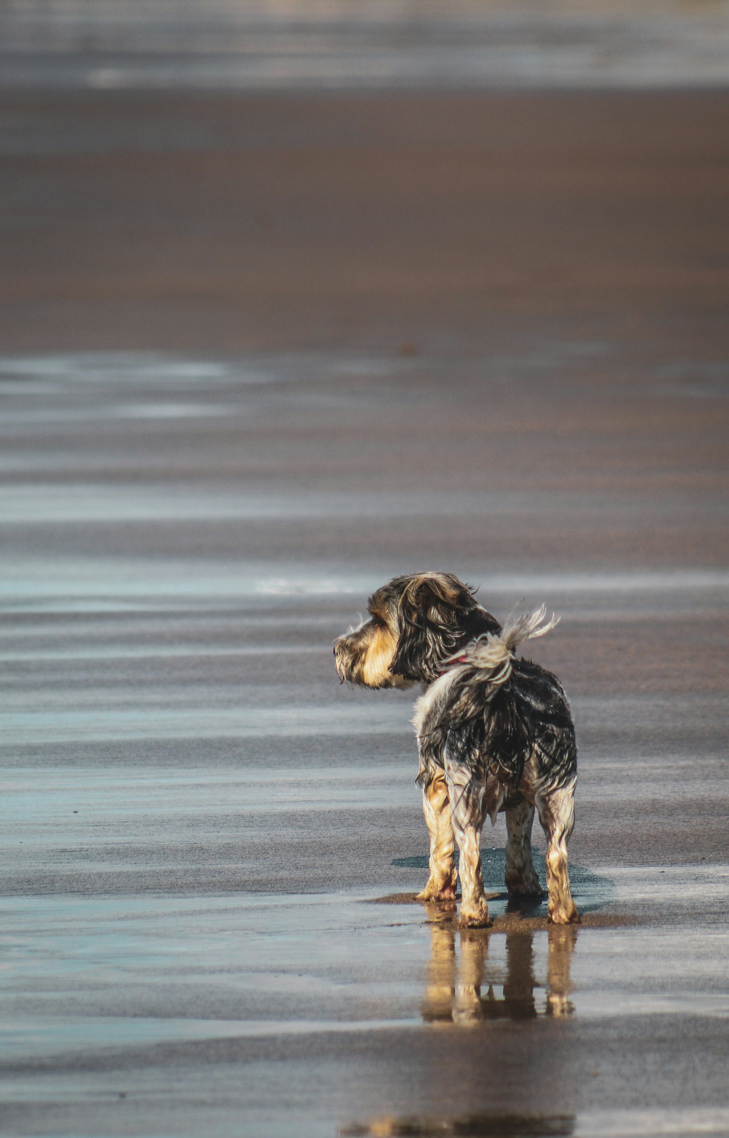 Photo by focalinsight