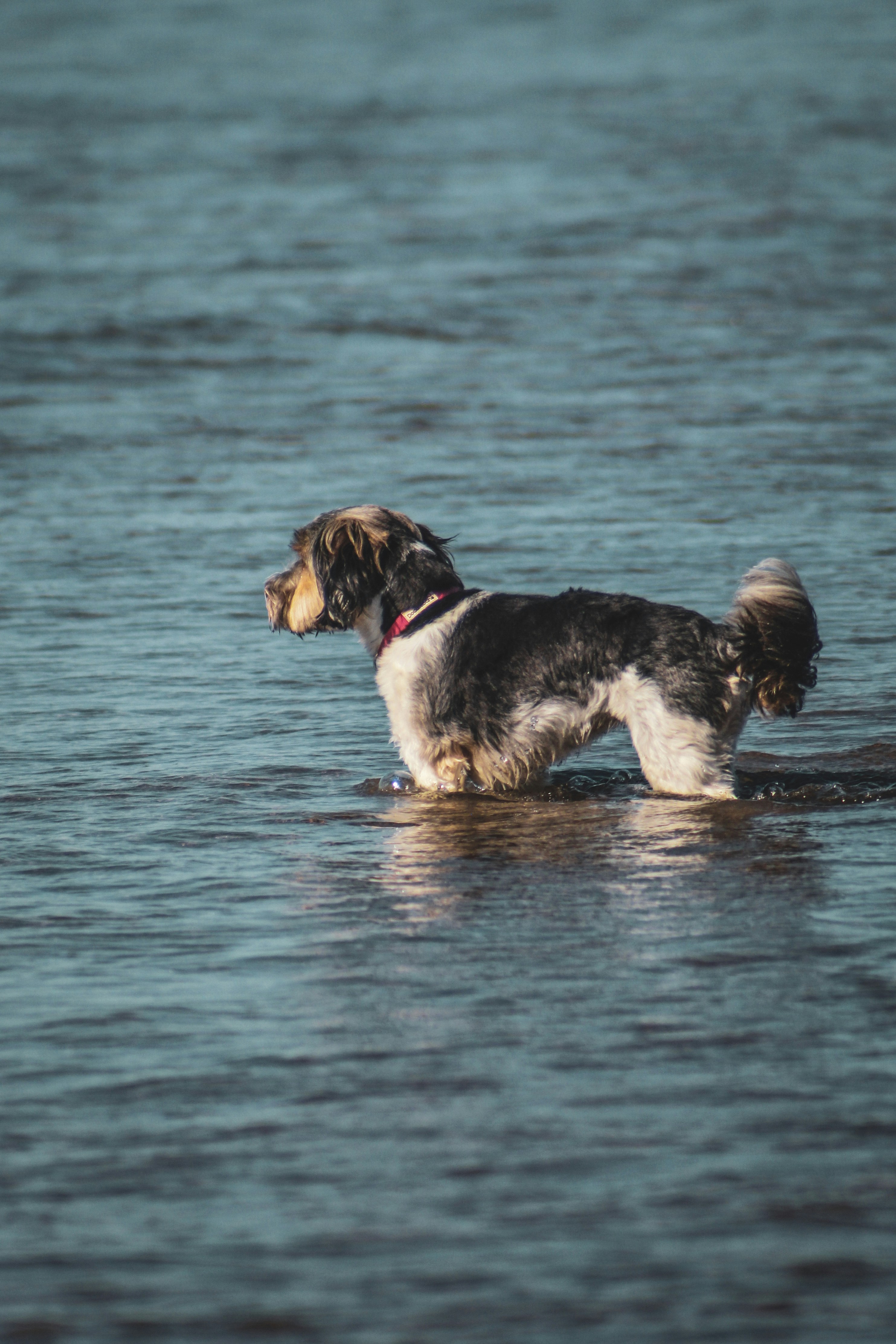 Photo by focalinsight