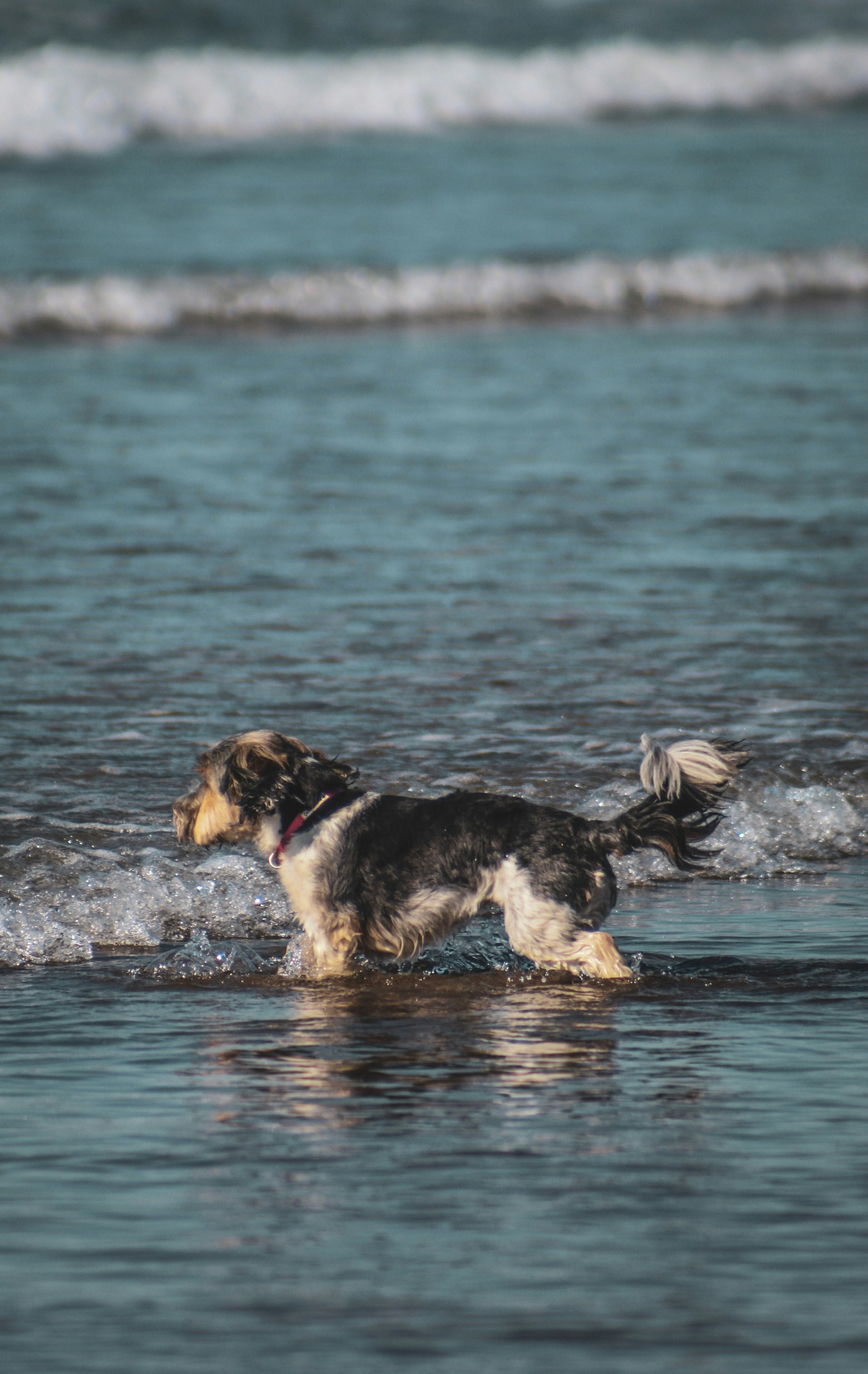 Photo by focalinsight