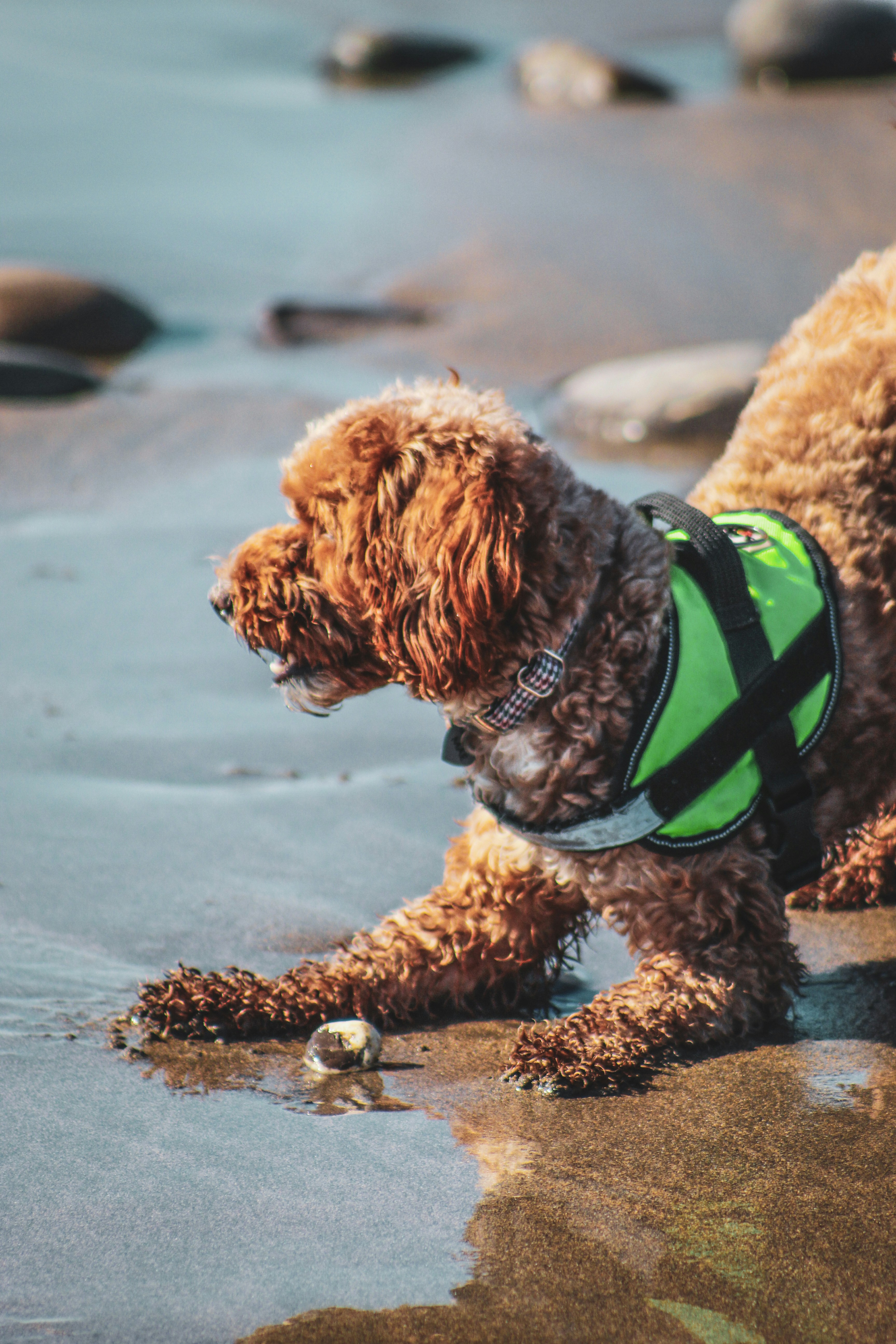 Photo by focalinsight